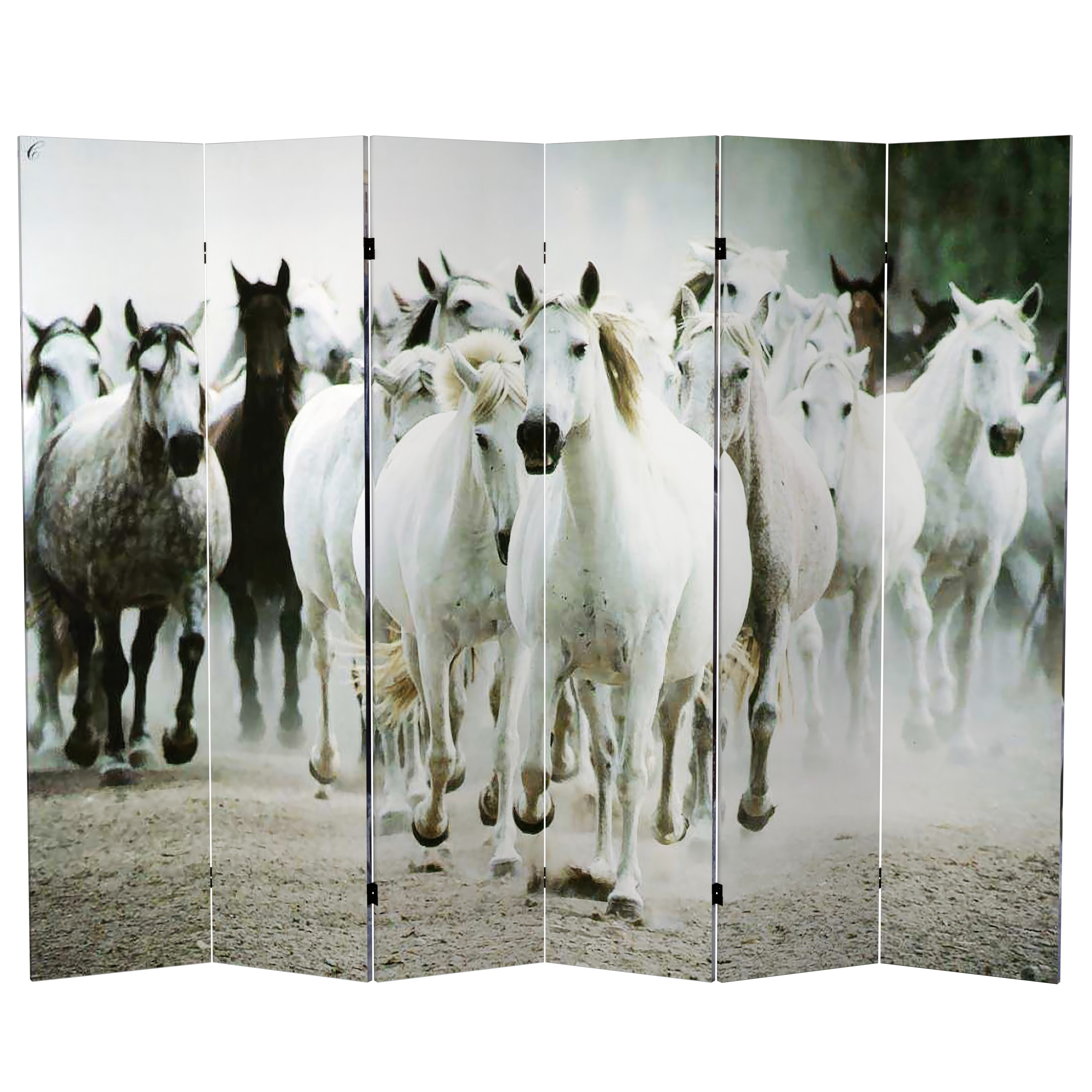 Red Lantern CAN-HORSE-6P Indoor-Privacy-Screens - View #2