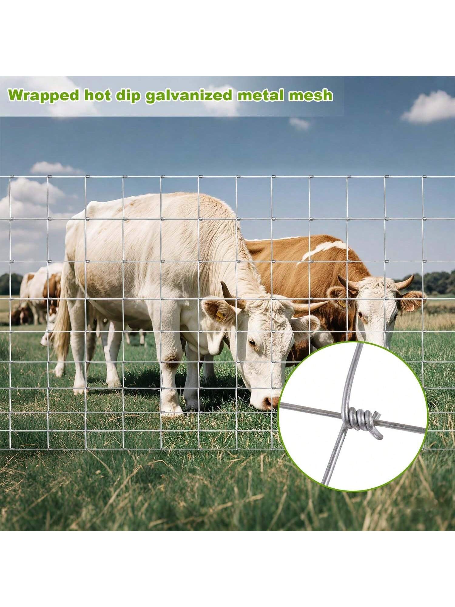 WhizMax BY-PPG-33EQFCTJ Outdoor-Kennel-Accessories - View #4