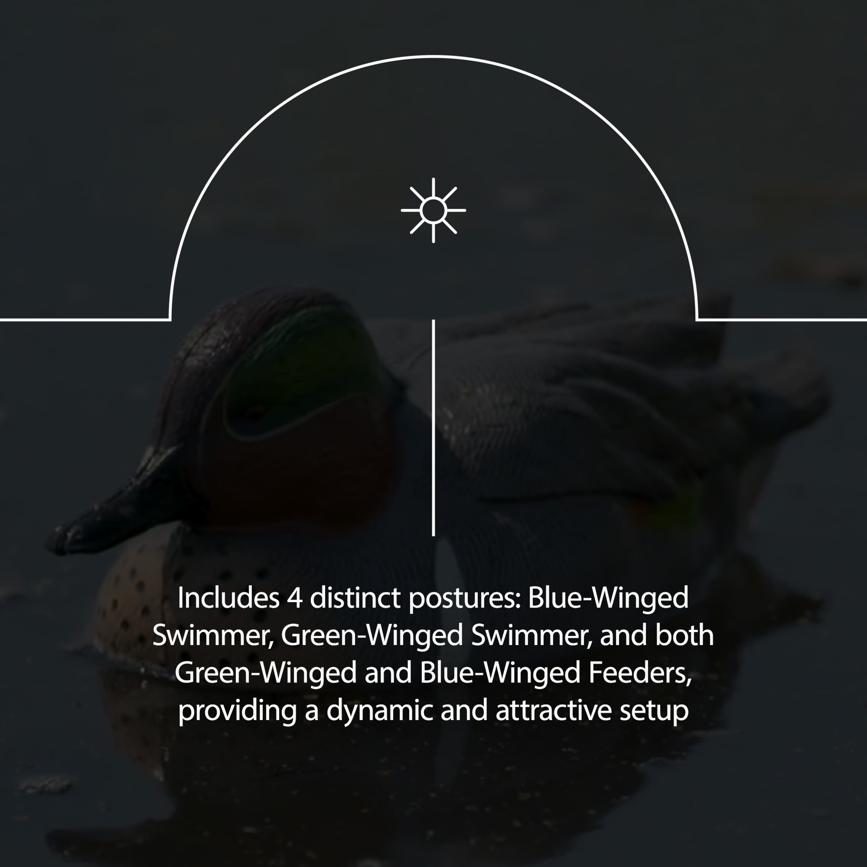  Avian X 408577 Hunting-Equipment - View #4