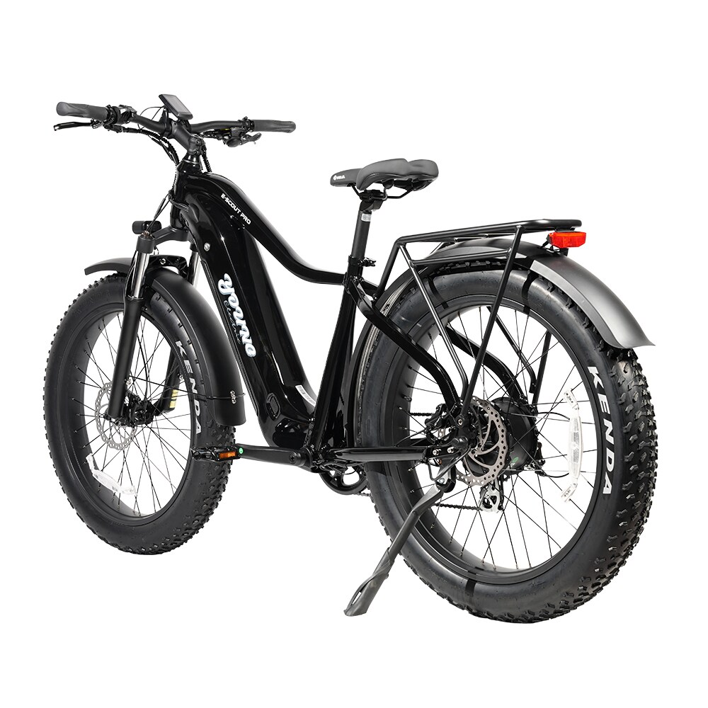 Young Electric 12803011BLK bikes - View #2