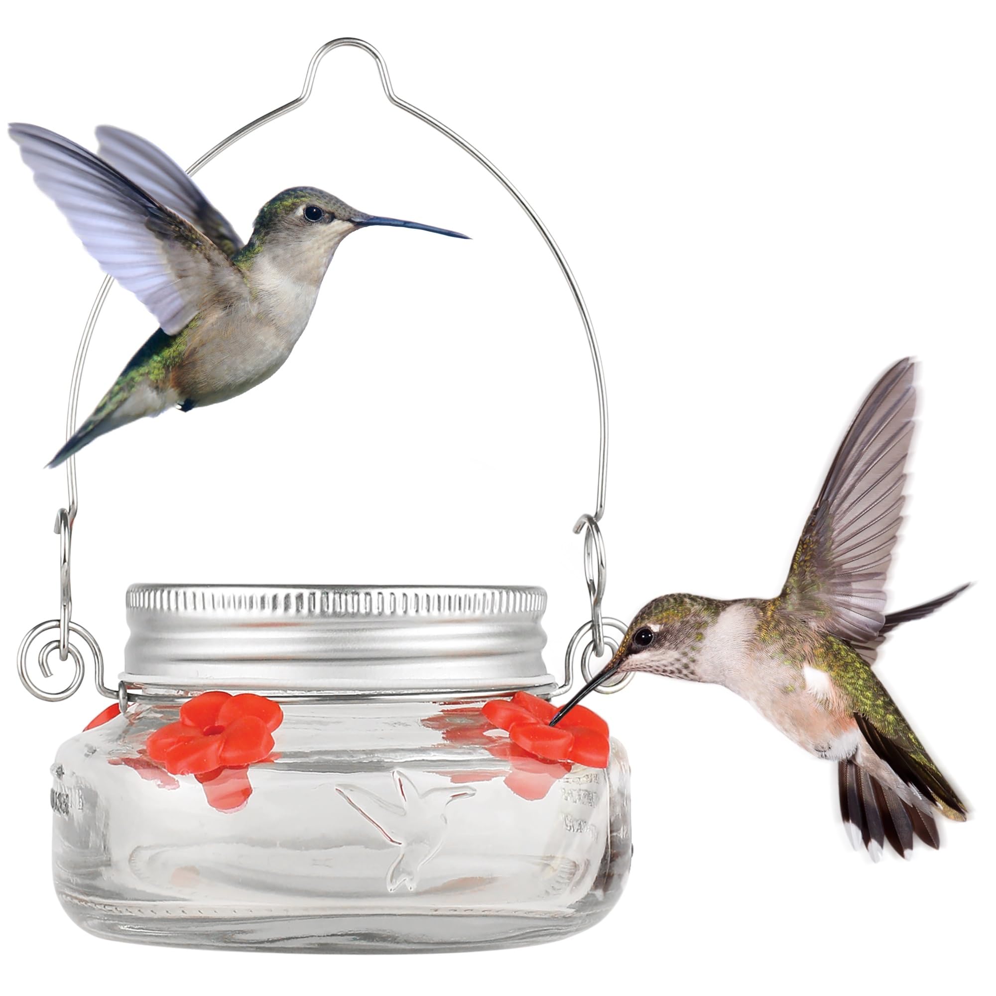 Nature's Way -  Mason Jar Hummingbird Feeder Glass 6-ounce Clear