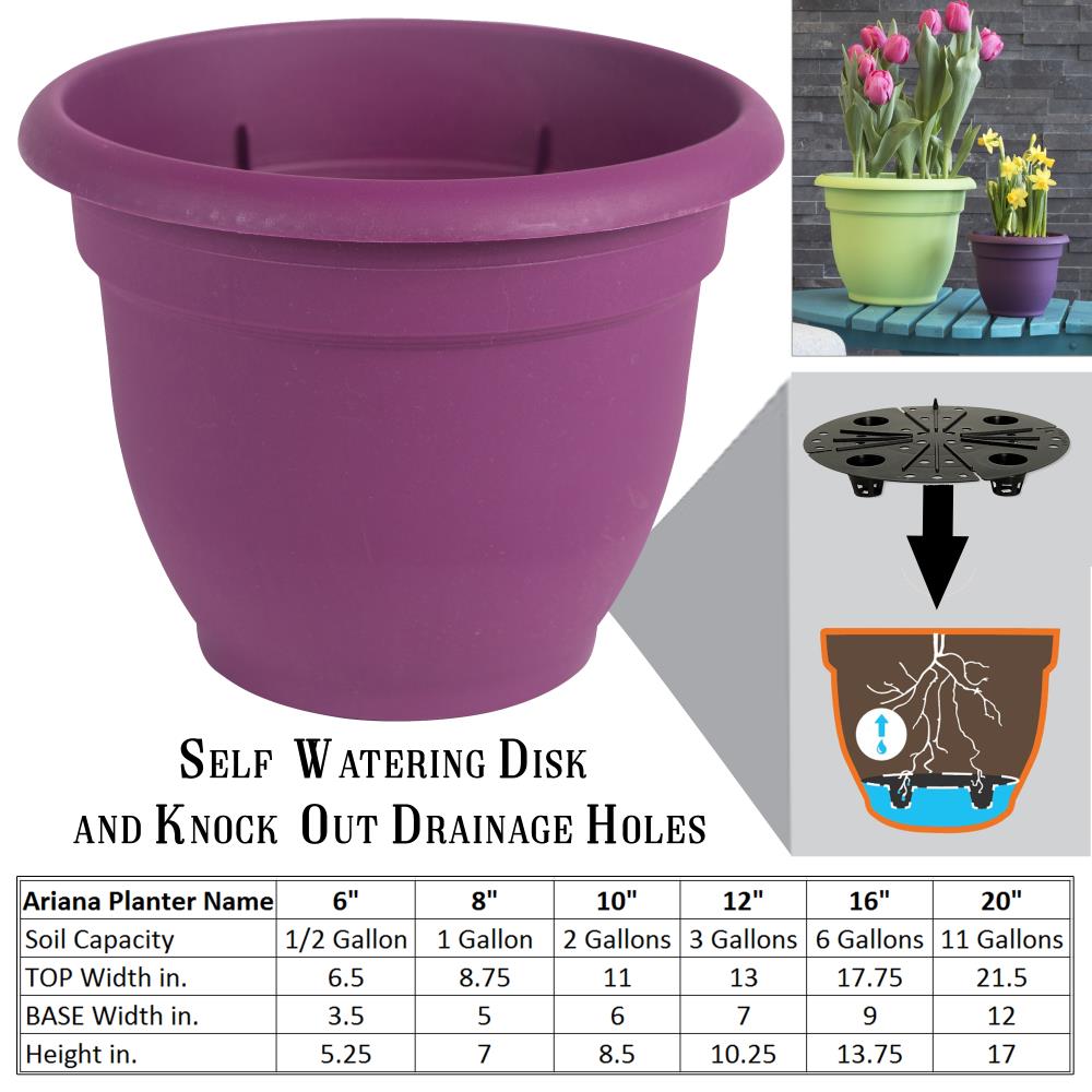 Bloem AP1229 Planter-Window-Box - View #10