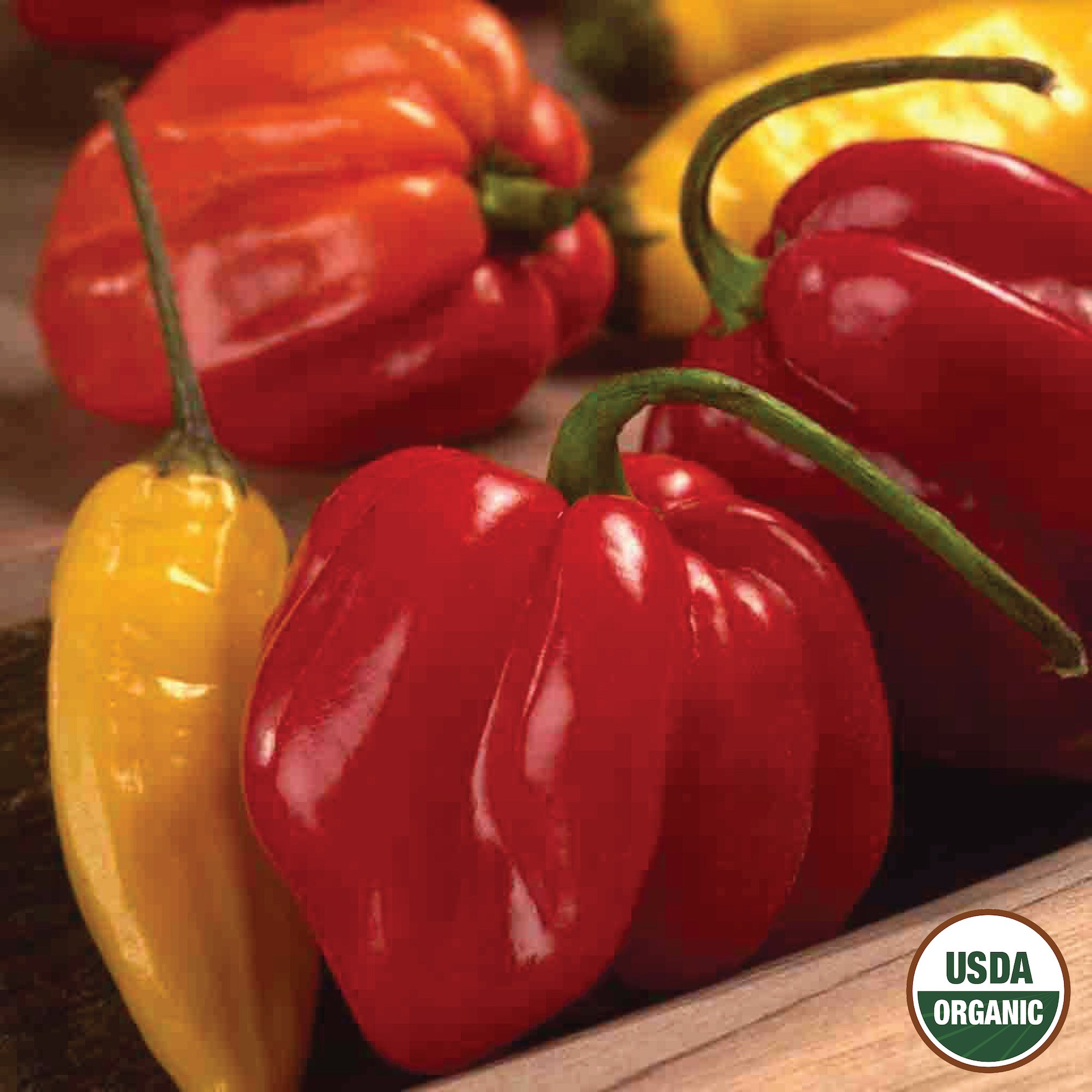 Ferry-Morse LC25.9534 Vegetable-Herb-Seeds - View #3