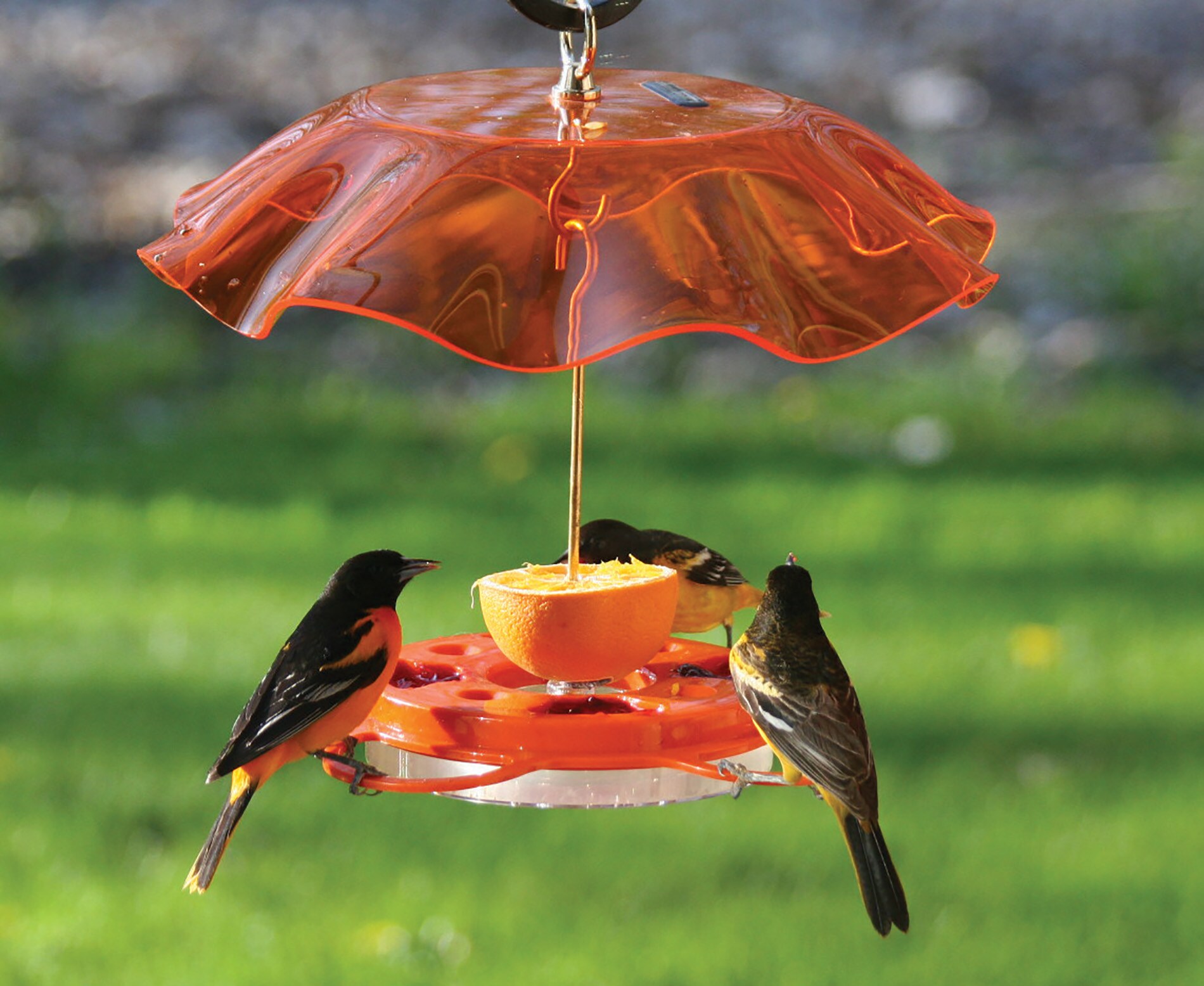 BIRDS CHOICE NP1012 Bird-Feeders - View #10