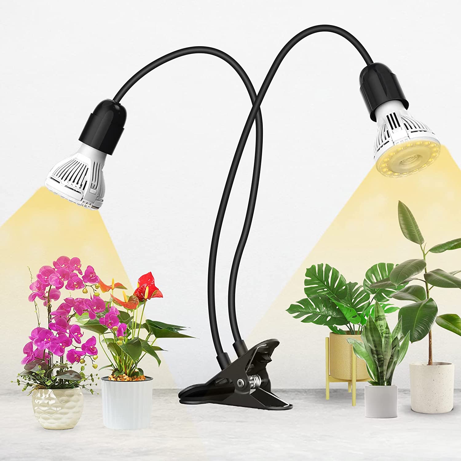 SANSI Lampe de Plante 300W, Lampe de Croissance Hoticole LED à Spectre  Complet 20W avec 2 Ampoules Horticoles E27 pour Culture des Plantes  Intérieures (Vég Couvrage: 4 Sp Ft) : : Jardin