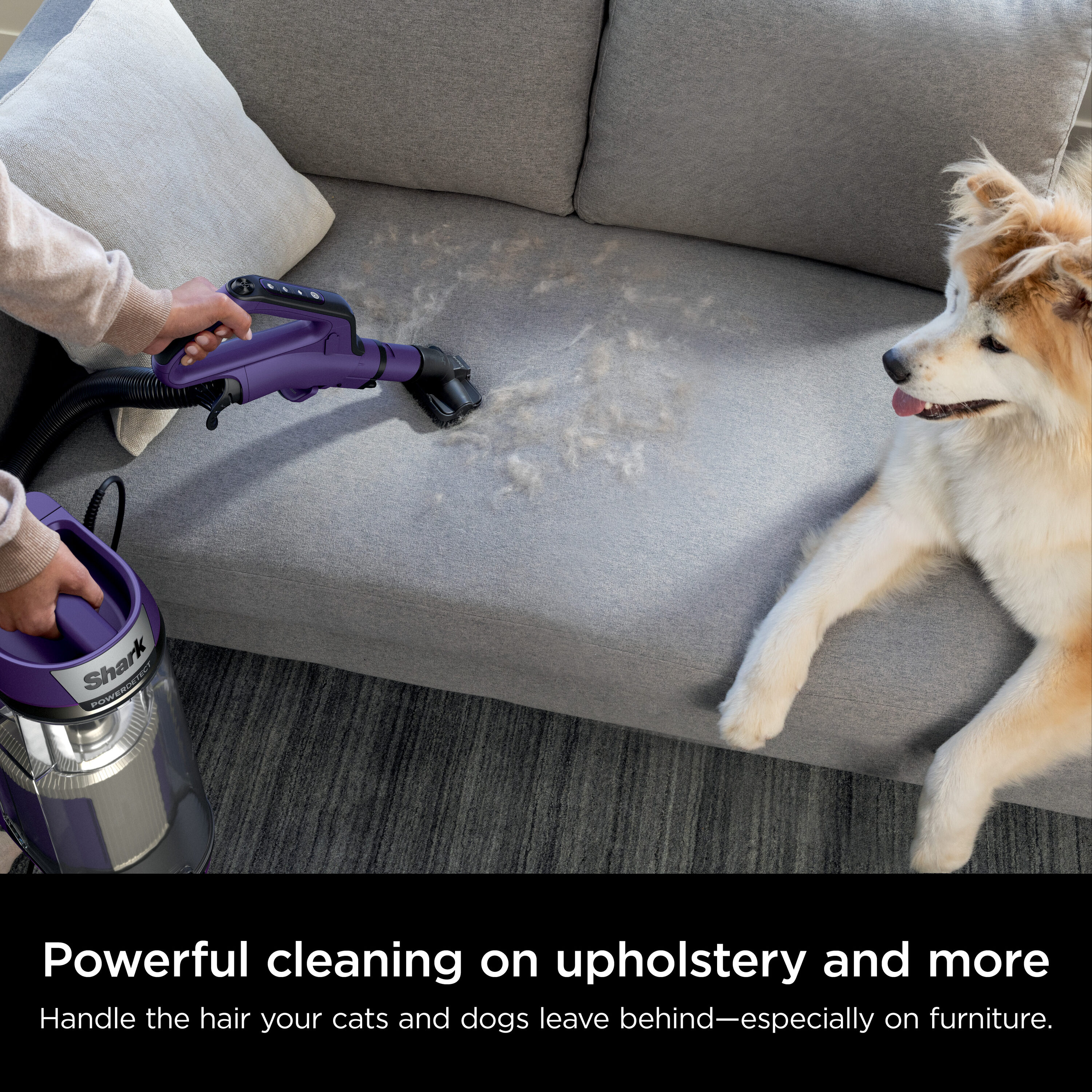 Shark AZ4002 Upright-Vacuums - View #10
