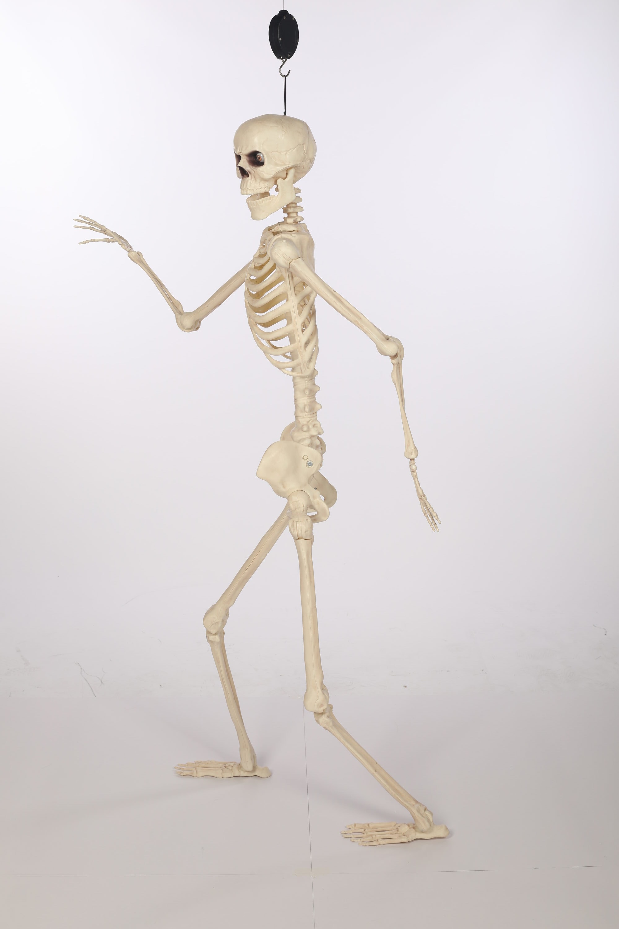 Haunted Living W86211 Table-Halloween-Decor - View #4