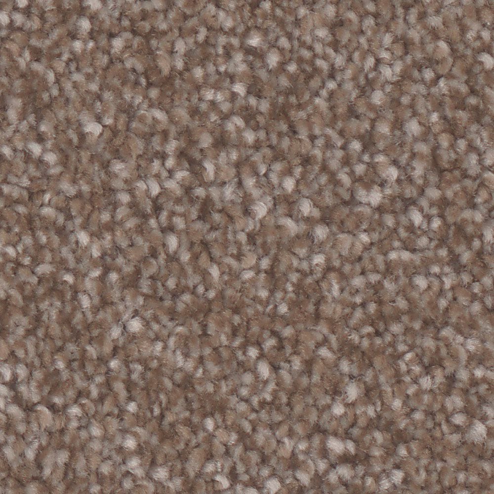 STAINMASTER S9860-10007-S (Sample) Damask Brown 60-oz sq yard Polyester Textured Indoor Carpet