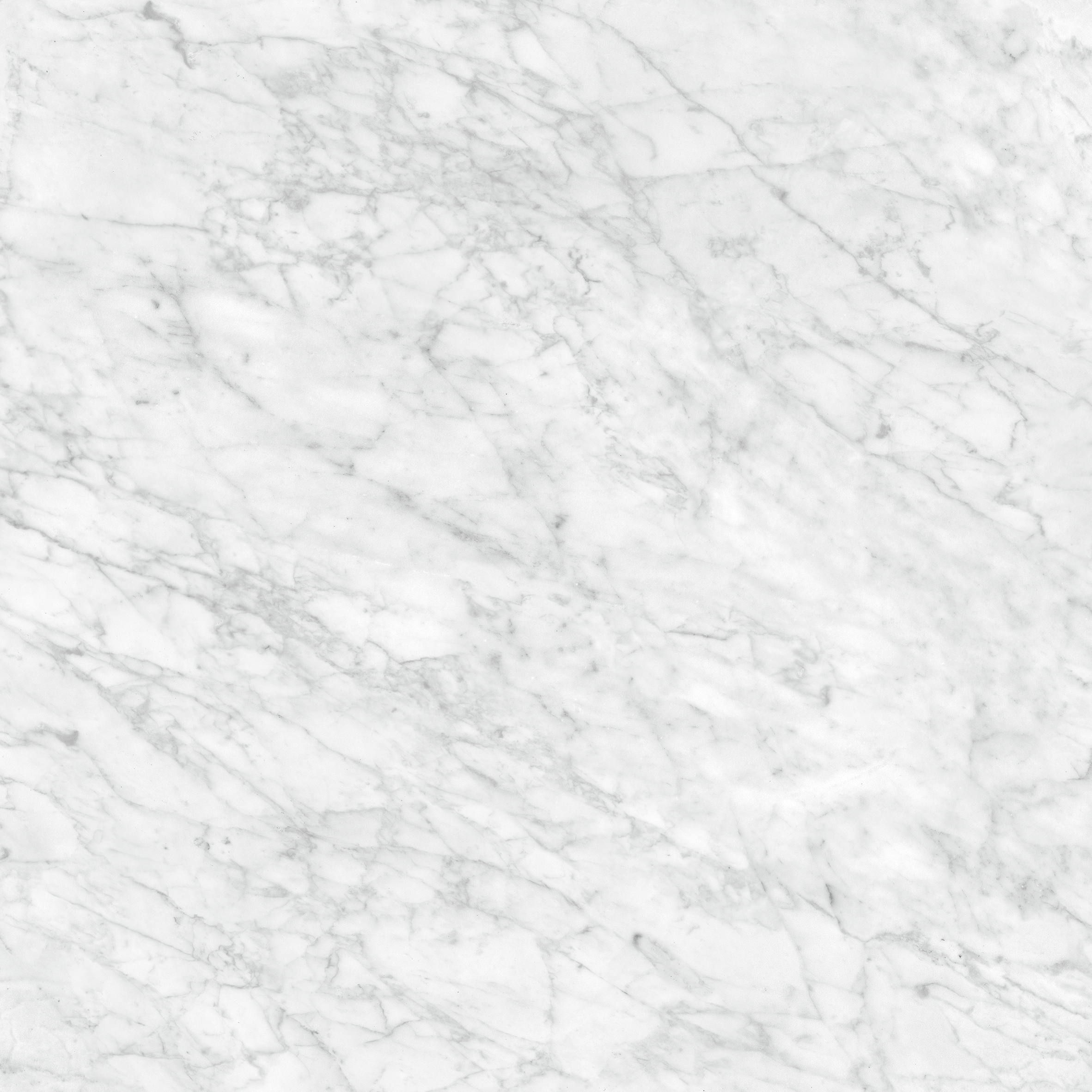 Satori La Marca Carrara Gioia 32-in x 32-in Honed Porcelain Marble look Floor and Wall Tile ( 13.78-sq ft Carton )