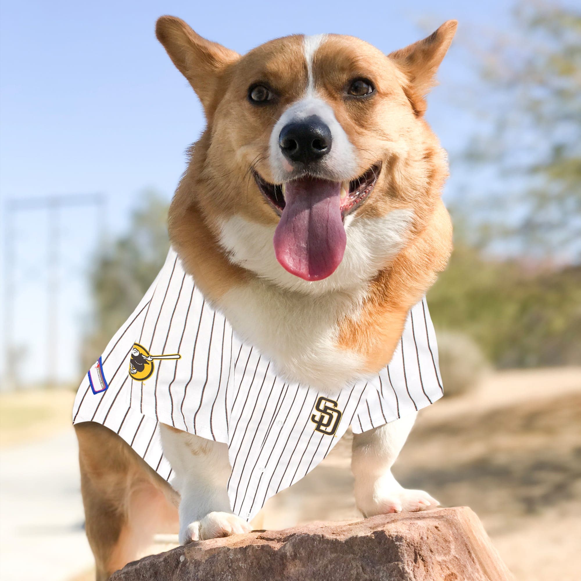 Pets First MM-4006-LG Dog-Apparel - View #4