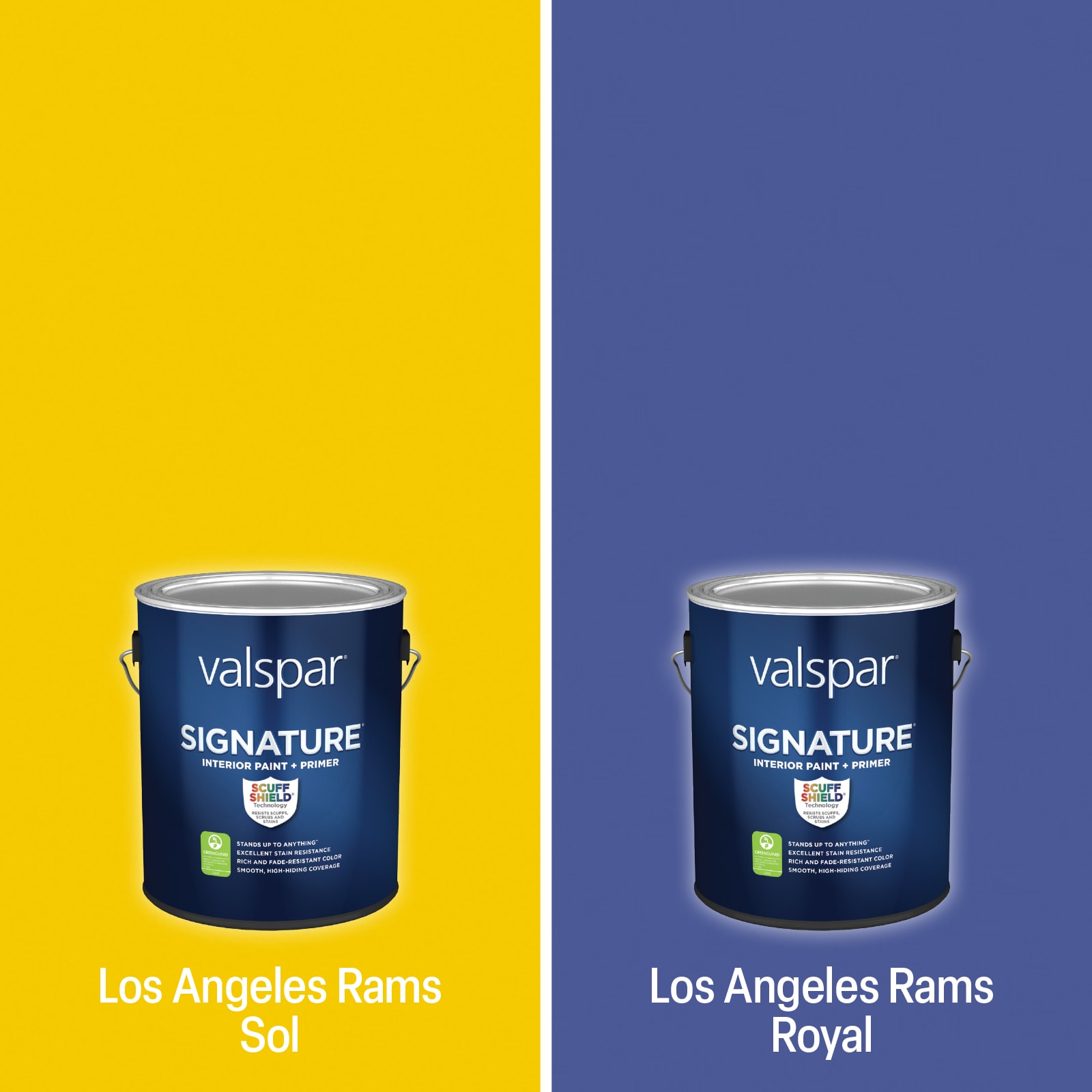 Shop Valspar Detroit Lions Paint Project Kit at