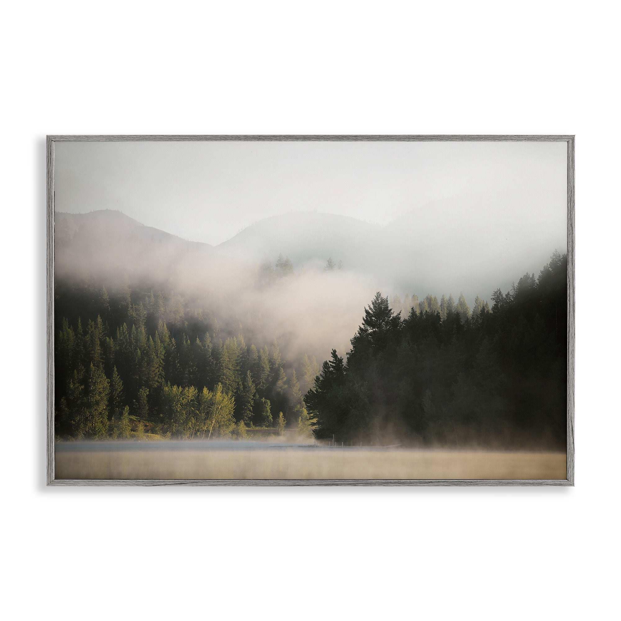 Stupell Industries Rolling Fog Woodland View Gray Framed Giclee Art 30 x 20