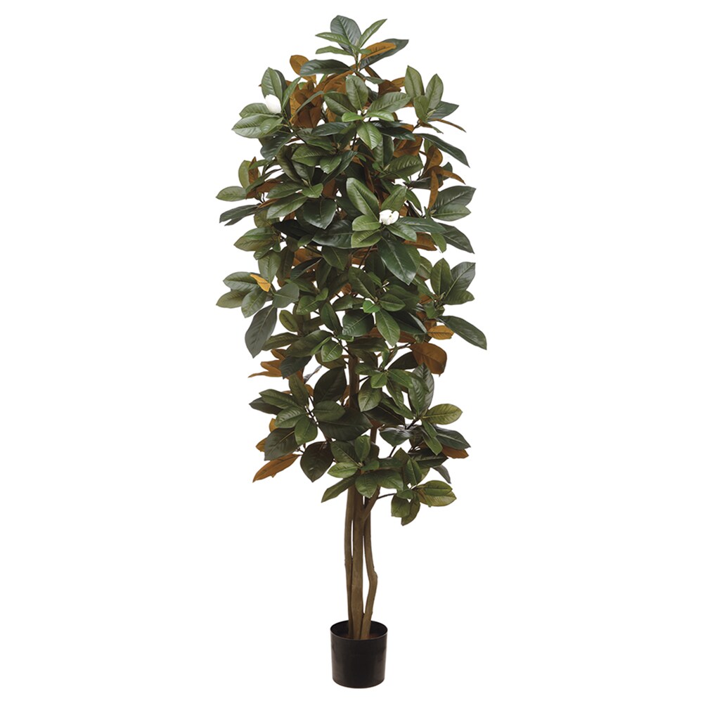 Allstate Floral LTM105-GR 60-in Green Indoor Floor Magnolia Artificial tree