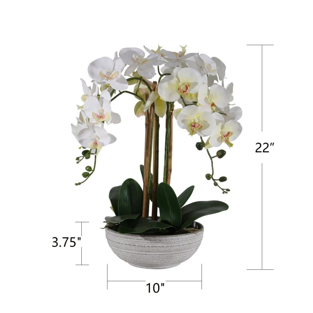allen + roth 22-in White Indoor Orchid Artificial Flower in the