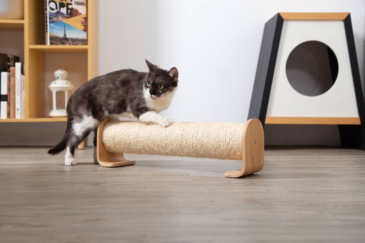 MyZoo MZ-CYLINDER Cat-Trees - View #7