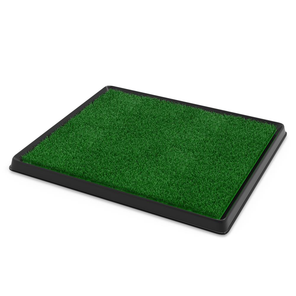 25 MM Plastic Gym Grass Mats, For Garden, Mat Size: 6x4