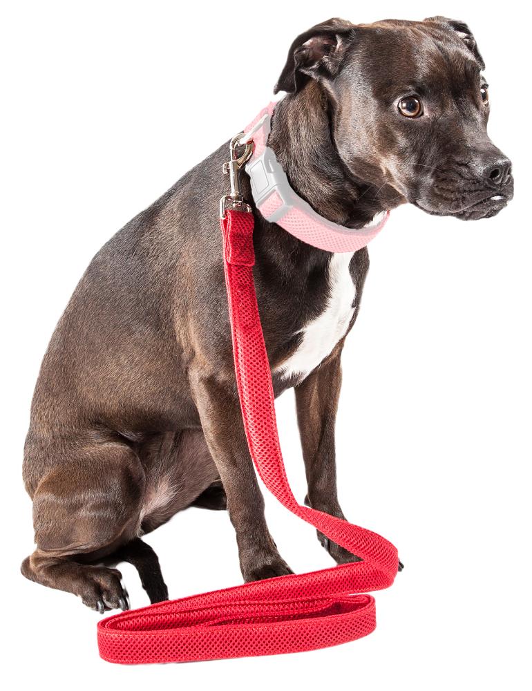 Pet Life LS14RD Dog-Collars-Harnesses - View #2