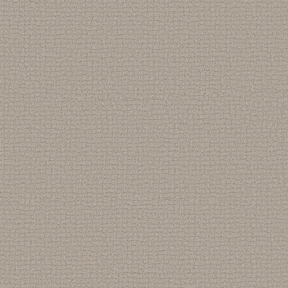 STAINMASTER PetProtect 7L94700115 with LeakDefense Feline Fantasia Sculpture Brown 34.1-oz sq yard Solution-dyed polyester Pattern Indoor Carpet
