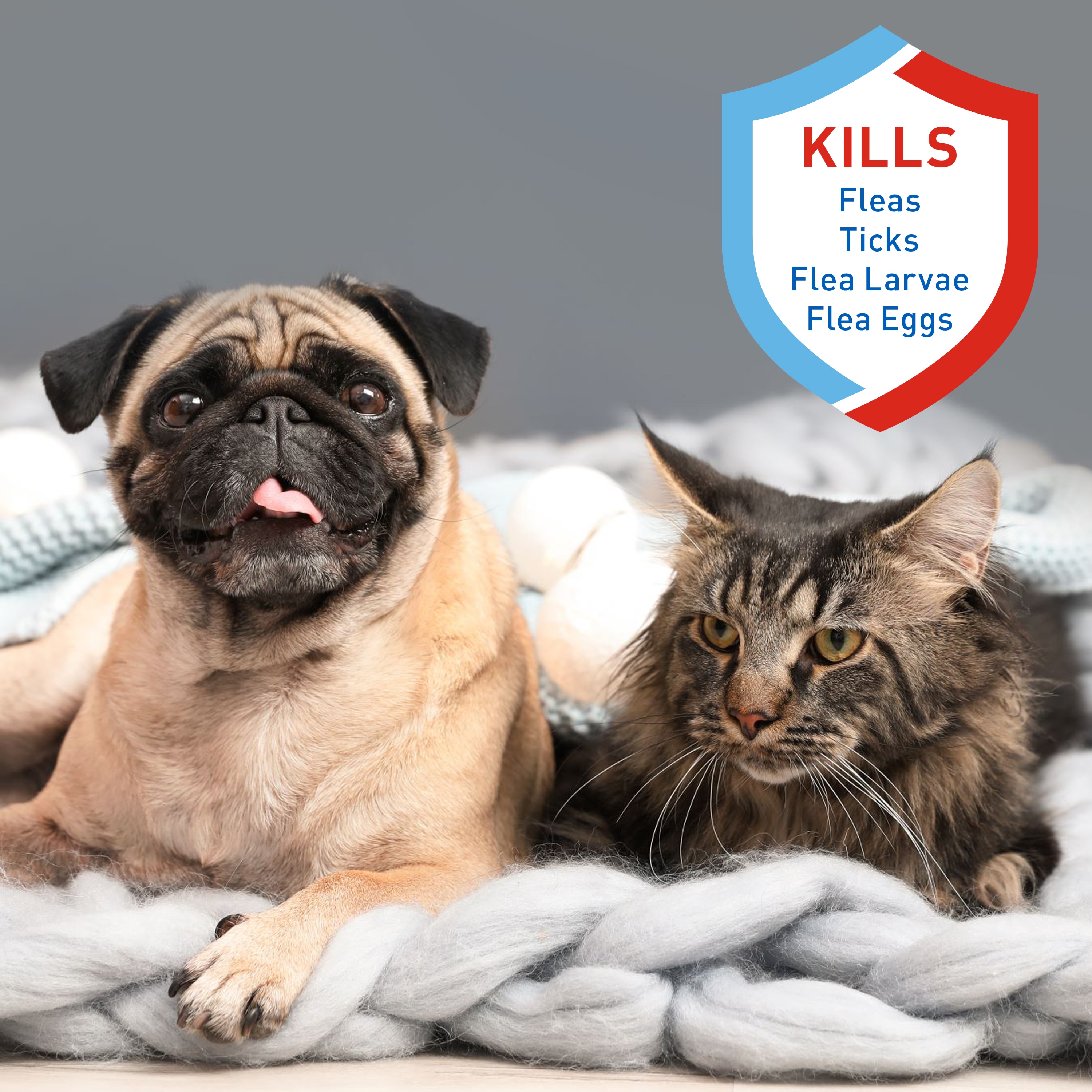 Flea killer for cats best sale and dogs