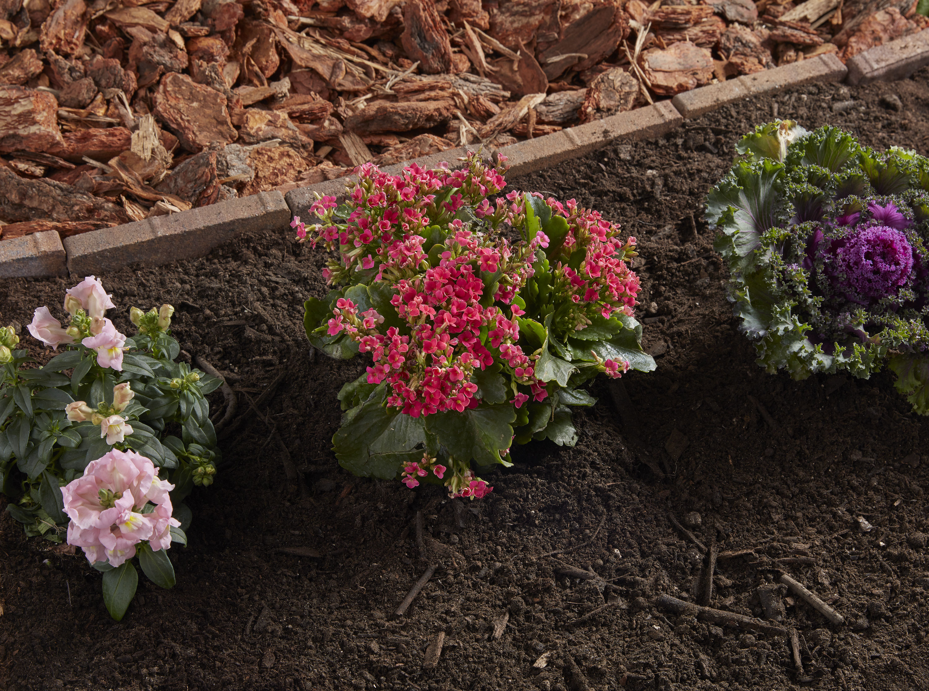 GRO-WELL GT 11145 Garden-Soil-Soil-Amendments - View #5