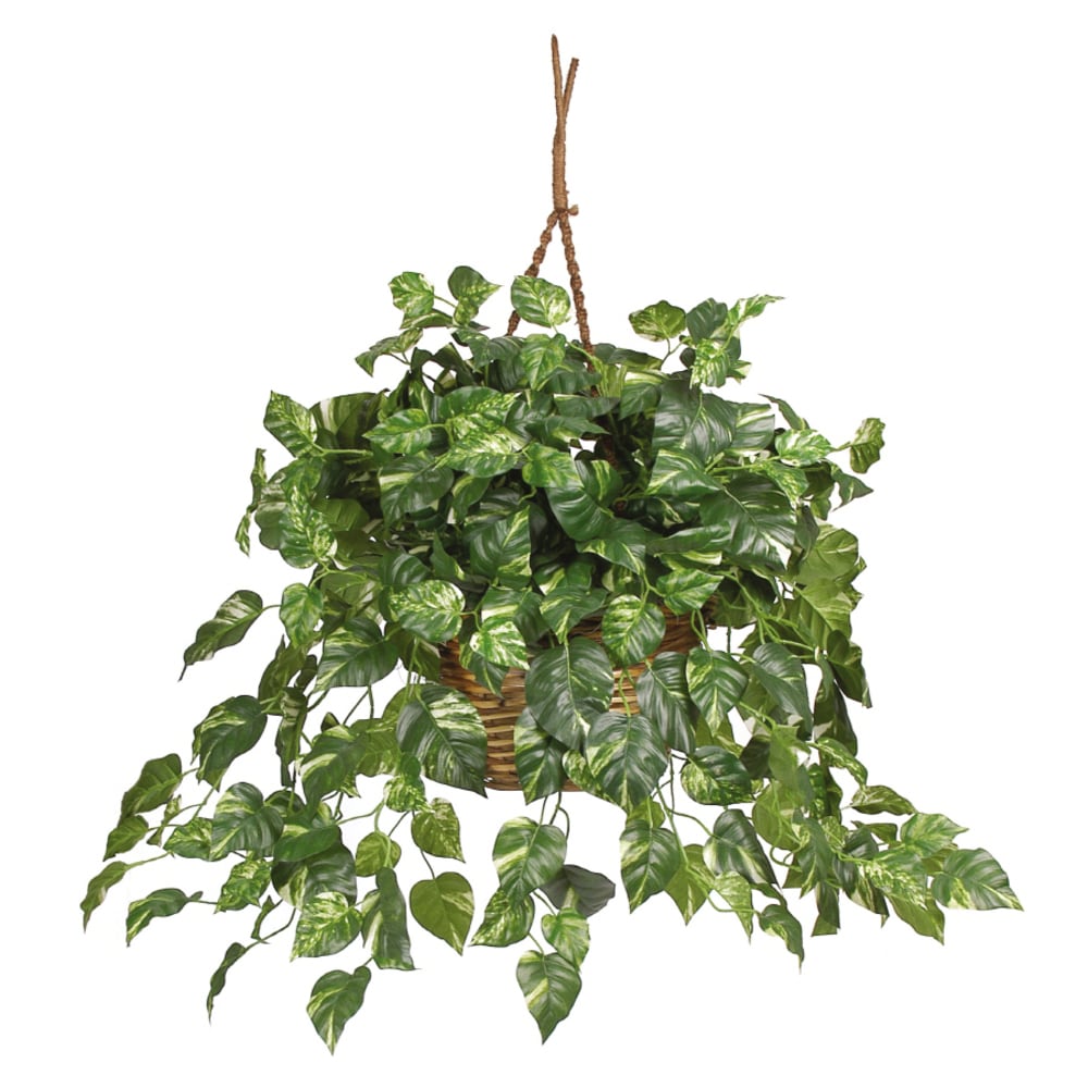 Pothos Artificial Plants & Flowers at