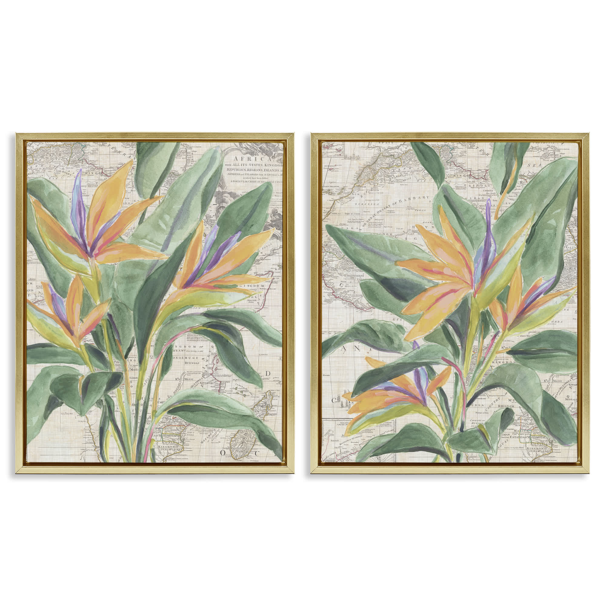 Stupell Industries B2-771-FFG-2PC-16X20 Flowers over Vintage Map 2 Piece Gold Framed Floater Canvas Set By June Erica Vess 17 x 21