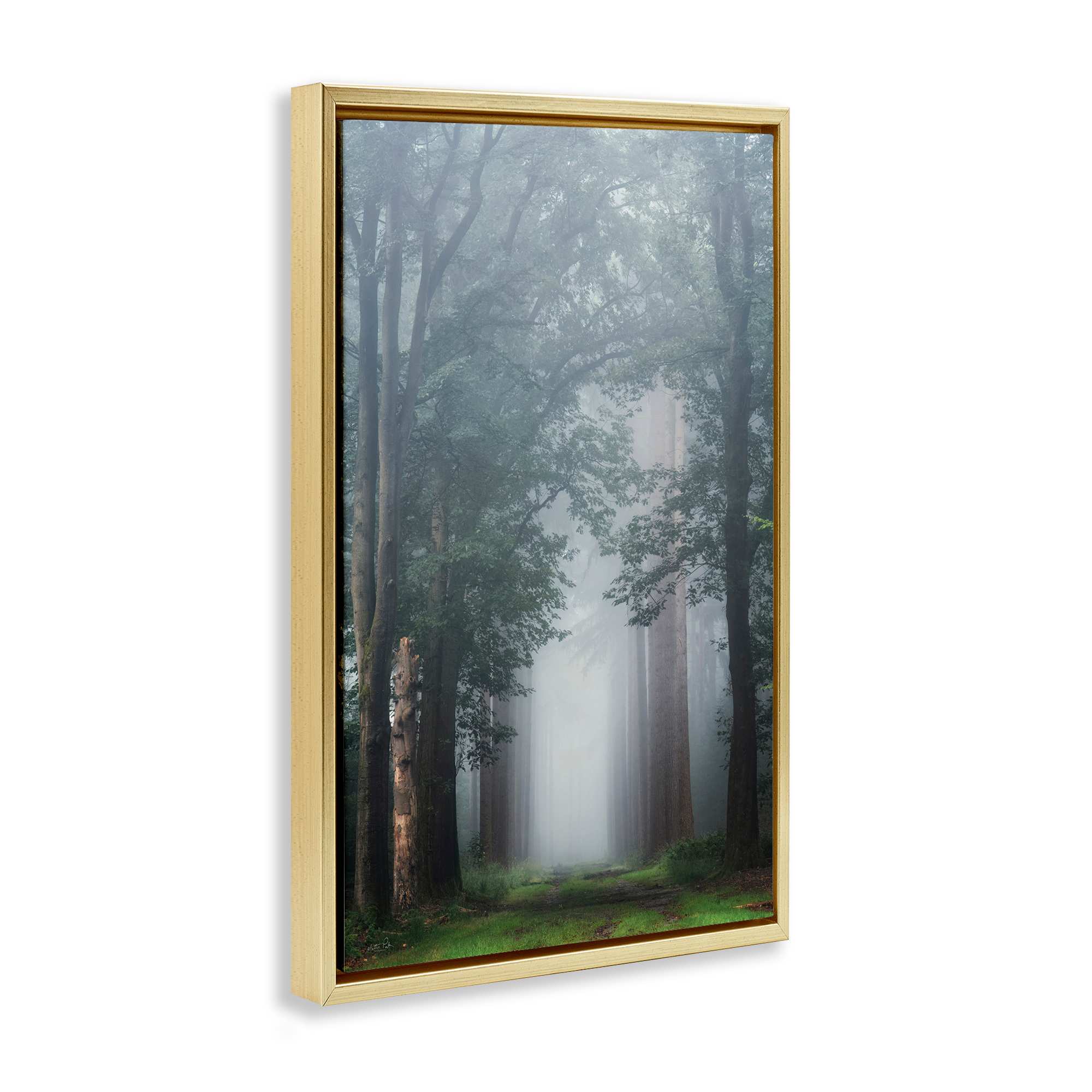 Stupell Industries BT-590-FFG-20X30 Wall-Art - View #2