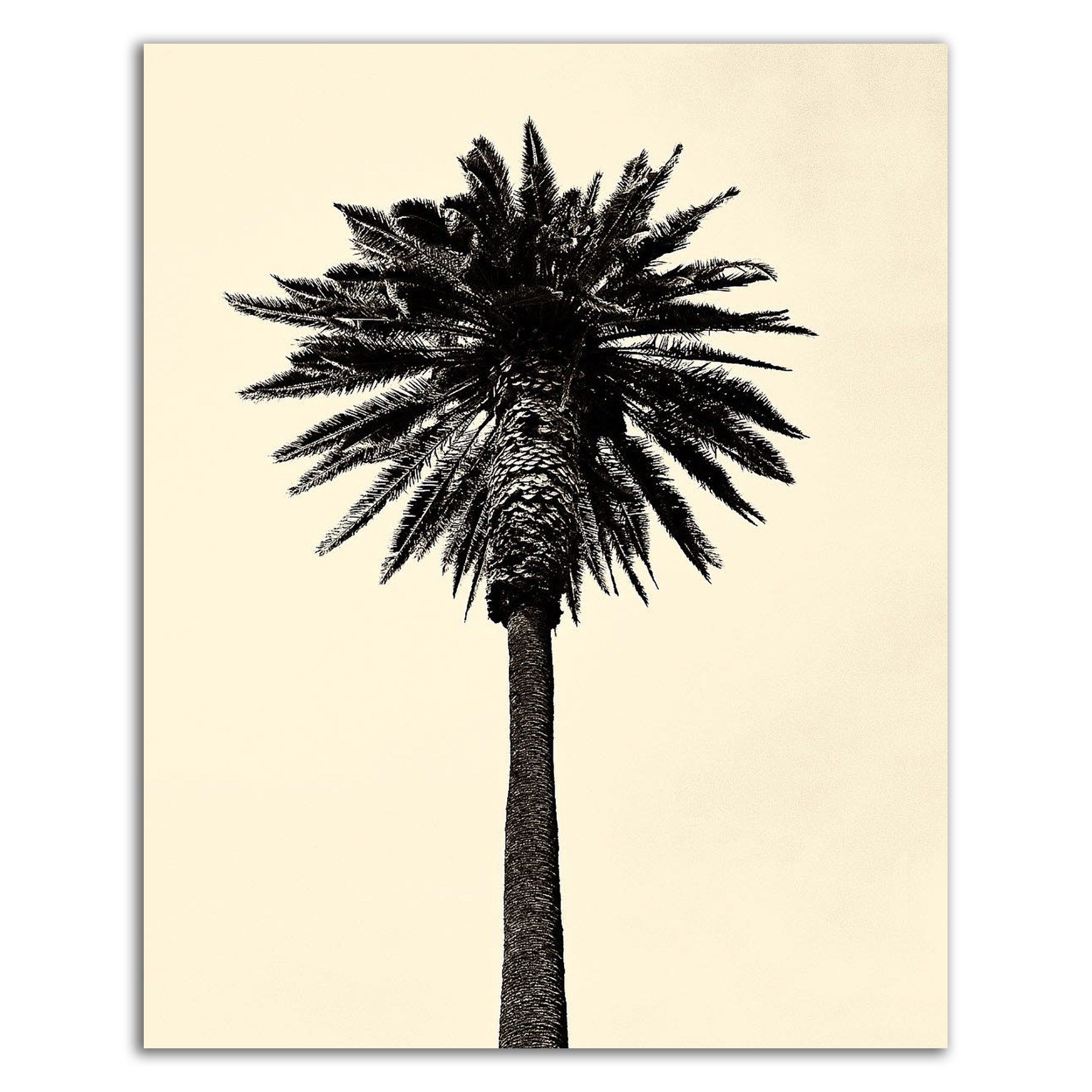 Tangletown Fine Art 8A445DC-2430 Wall-Art - View #3
