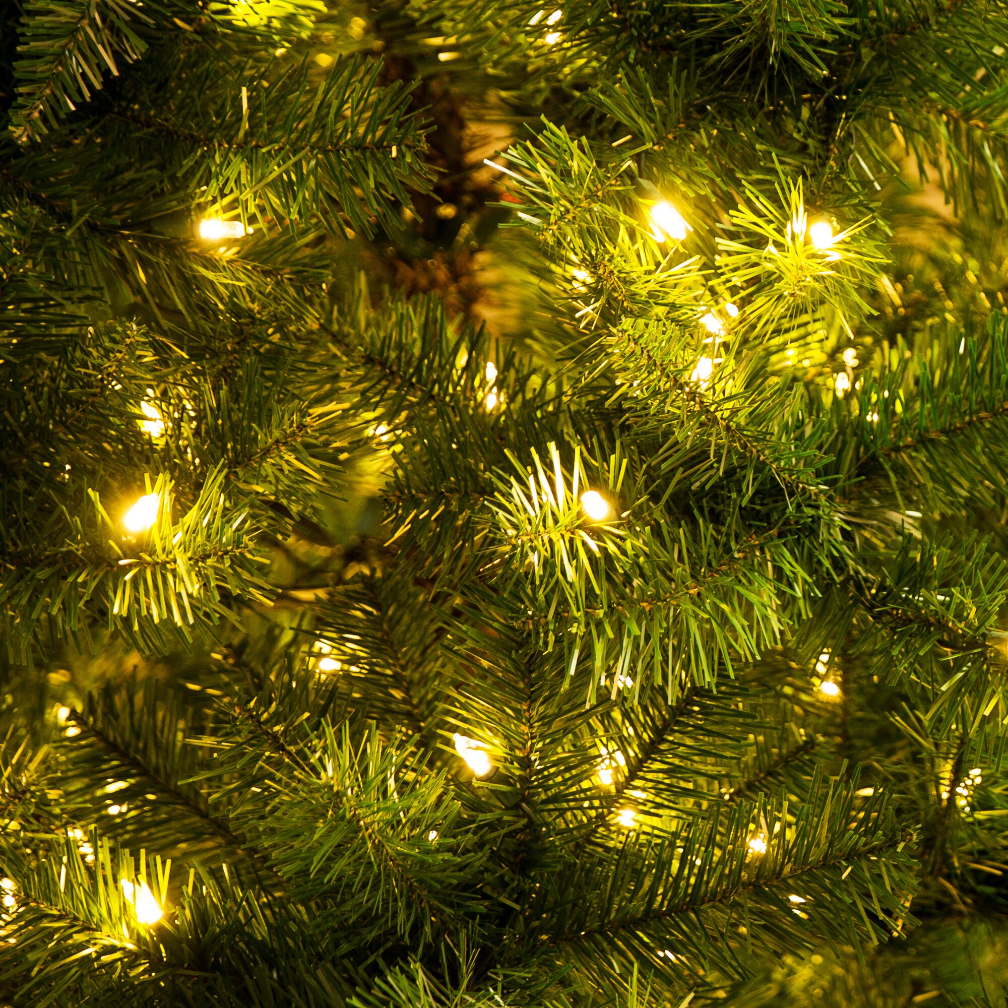 Holiday Living W14L0483  - View #8