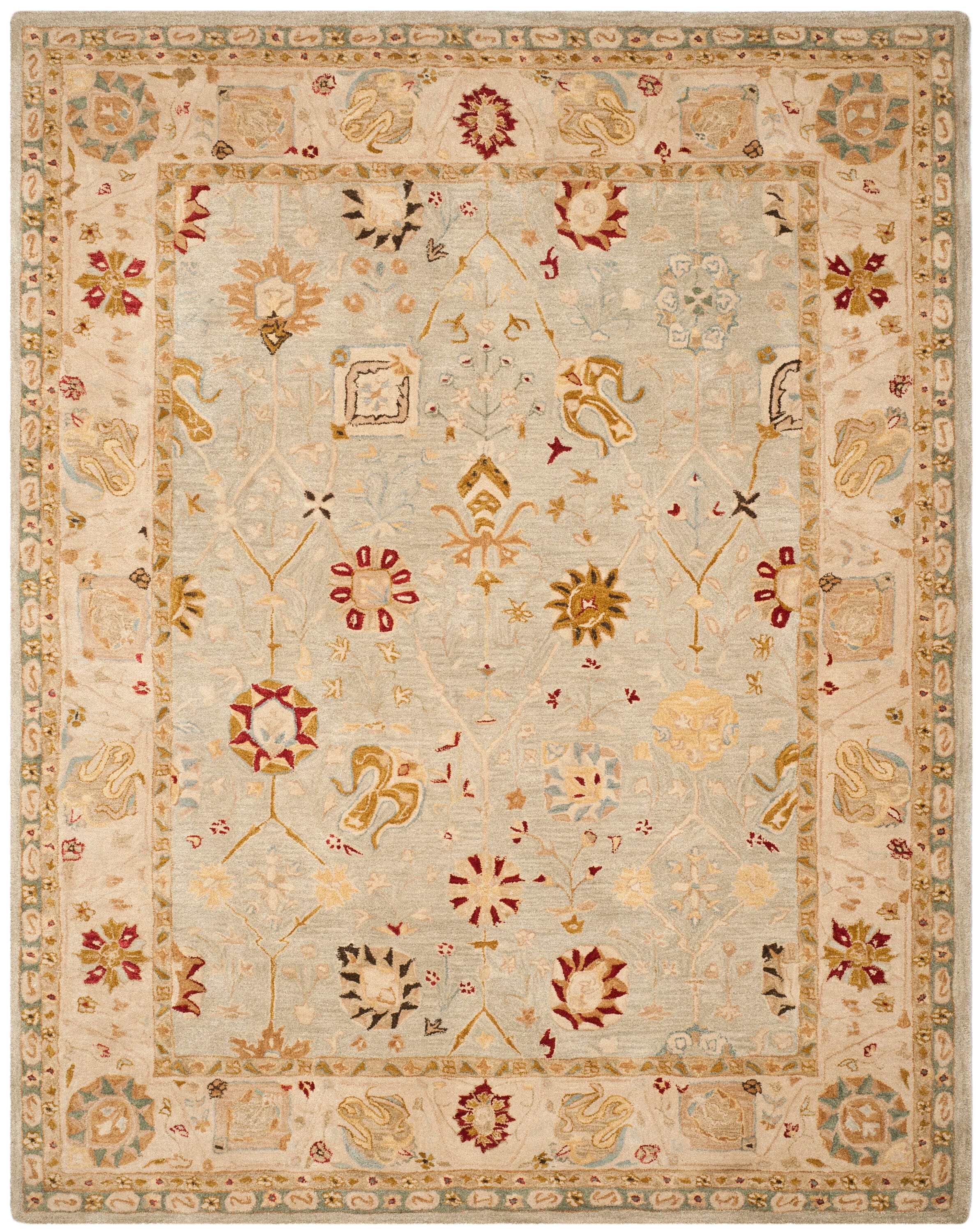 Safavieh AN559B-10 rugs - View #2