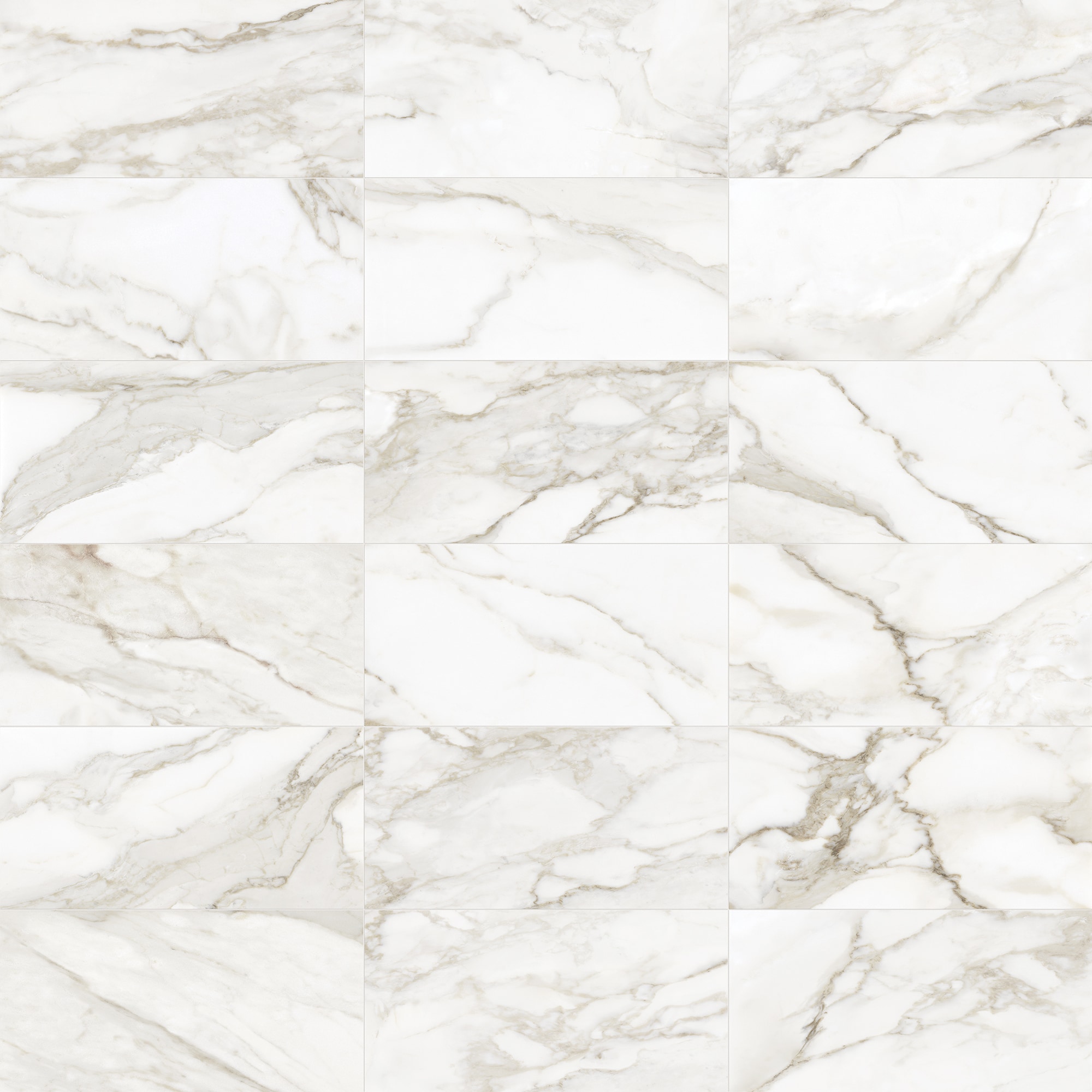 Anatolia 1001-0476-0 Regent Calacatta 12-in x 24-in Matte Porcelain Marble Look Floor and Wall Tile (1.93-sq. ft/ Piece)