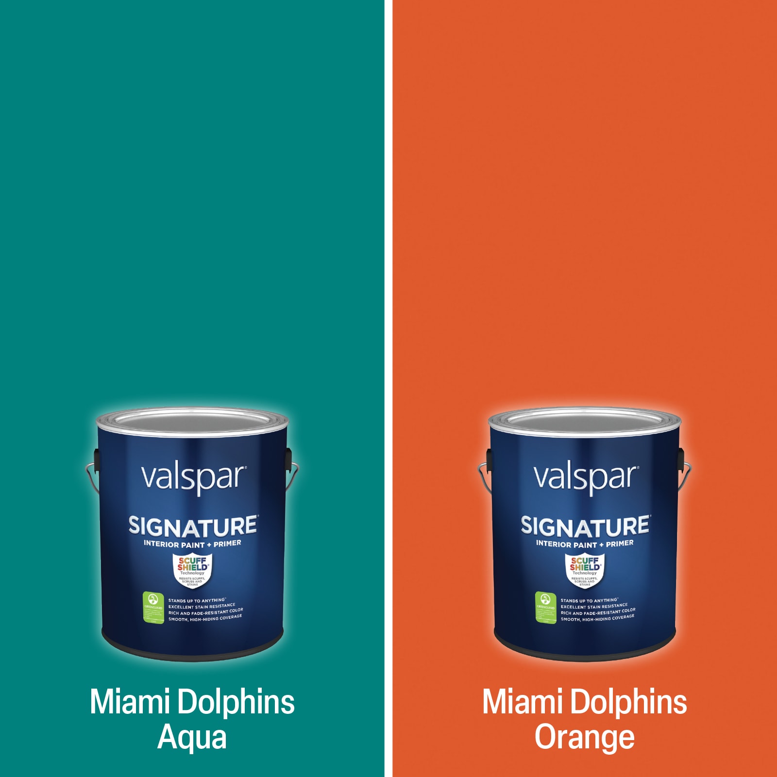 Shop Valspar Miami Dolphins Paint Project Kit at