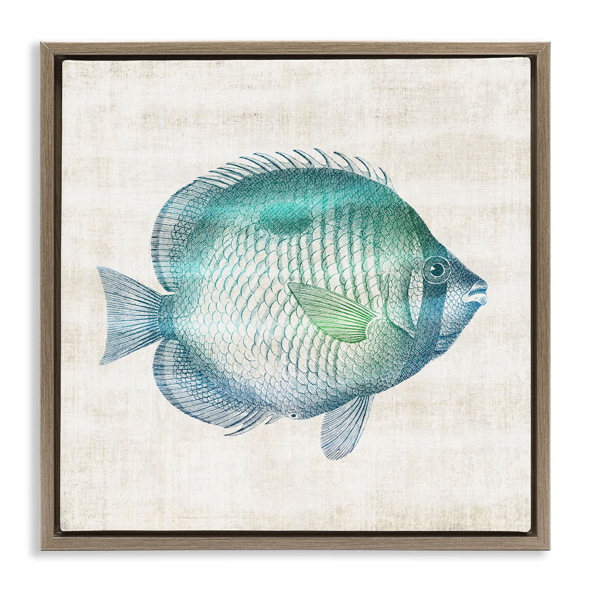Stupell Industries BS-168-FFE-17X17 Fish Impression Sea Life Floating Frame design by Susan Arnot