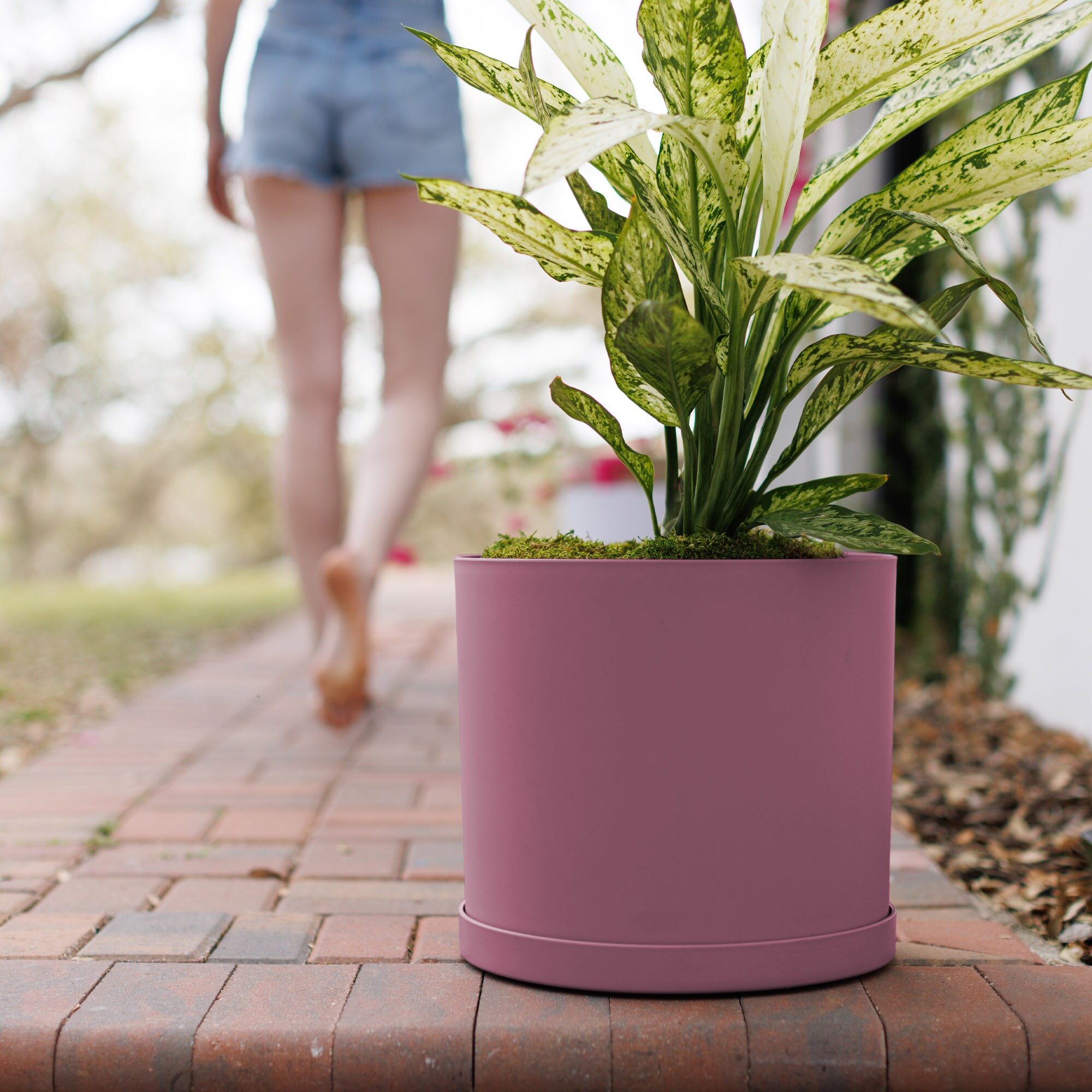 Bloem MAT1234 Planter-Window-Box - View #2