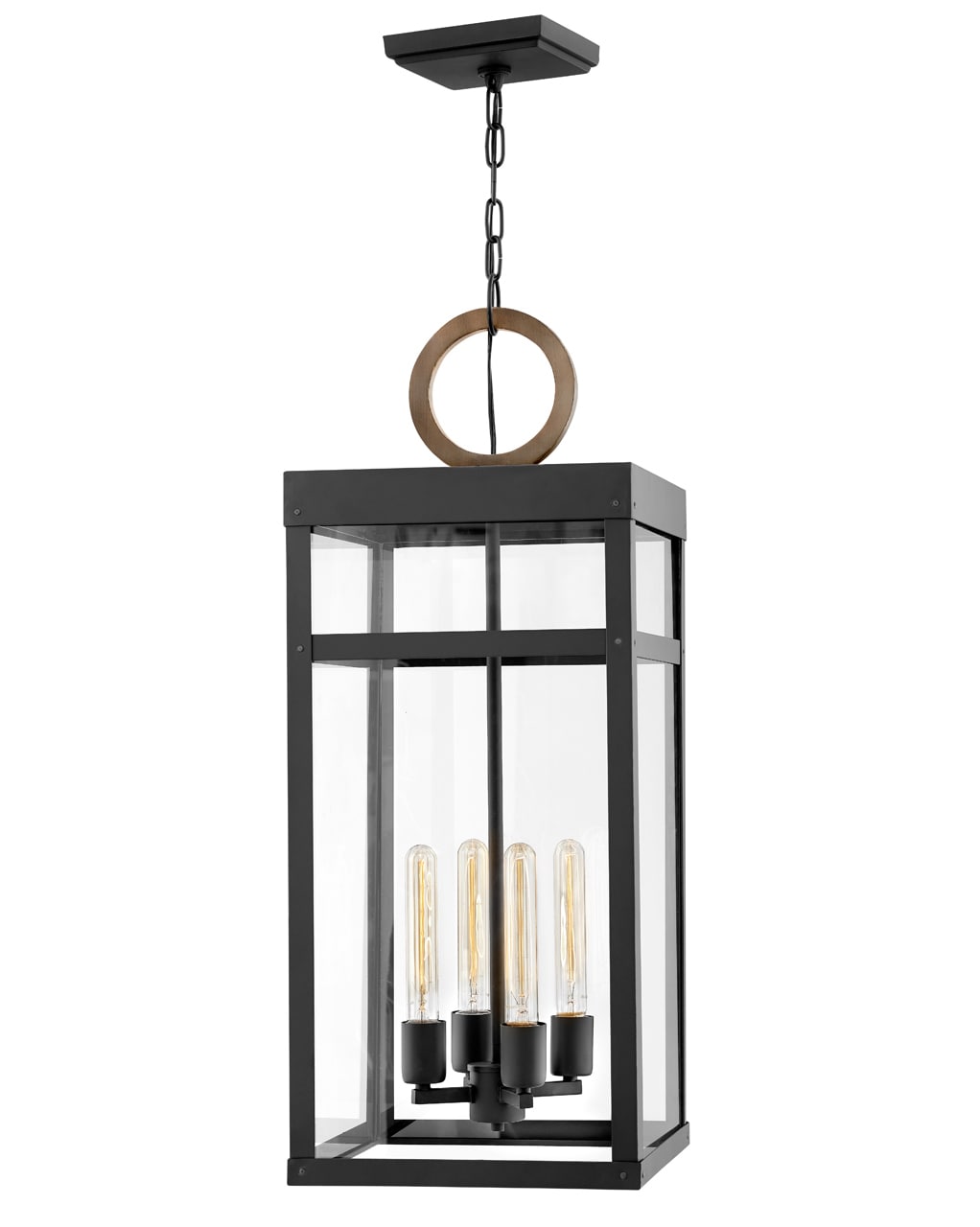 Hinkley 2808BK-LL Porter Black Transitional Clear glass Rectangle Medium Indoor/Outdoor Hanging Pendant light