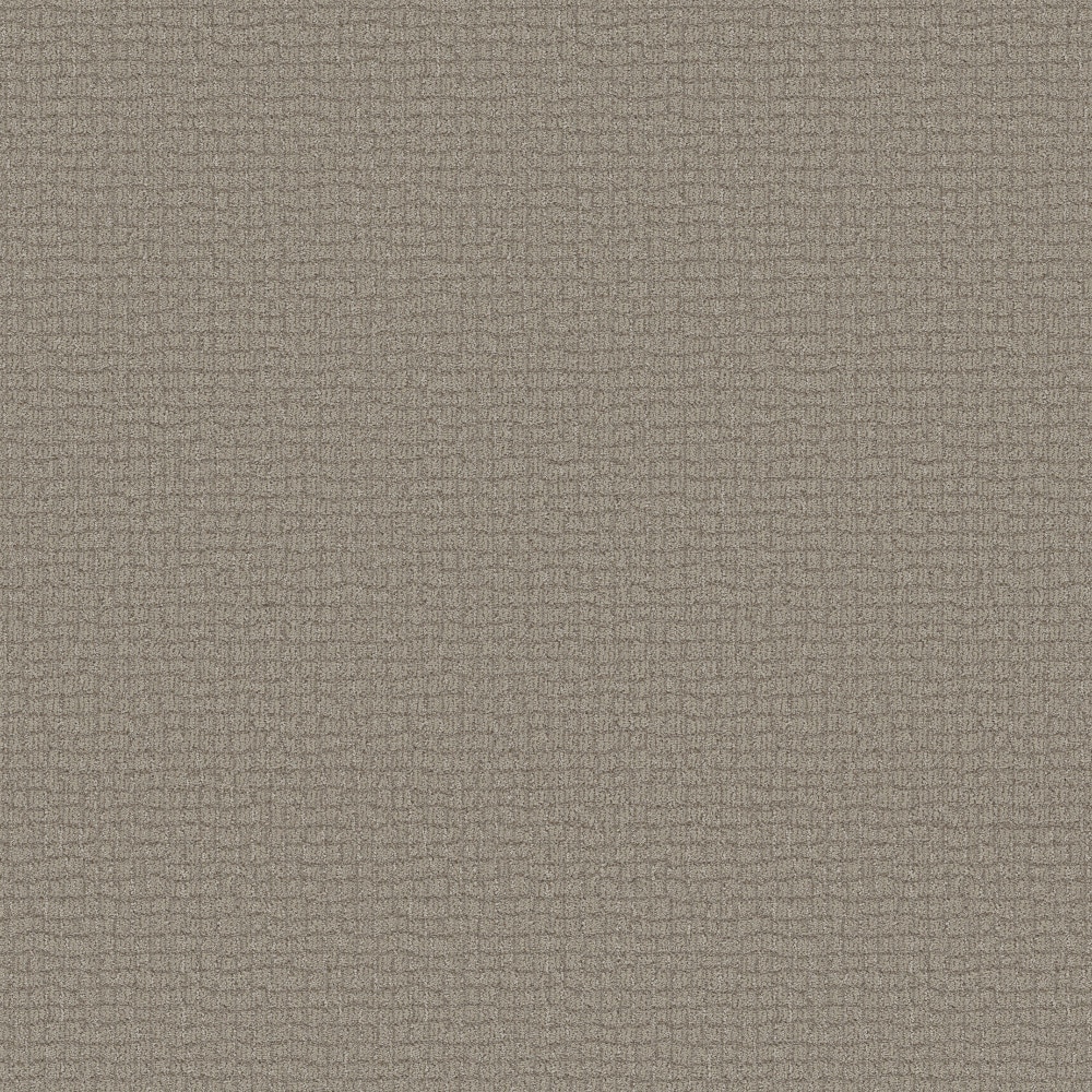 STAINMASTER PetProtect 7L94700111 with LeakDefense Feline Fantasia Chic Greige Brown 34.1-oz sq yard Solution-dyed polyester Pattern Indoor Carpet