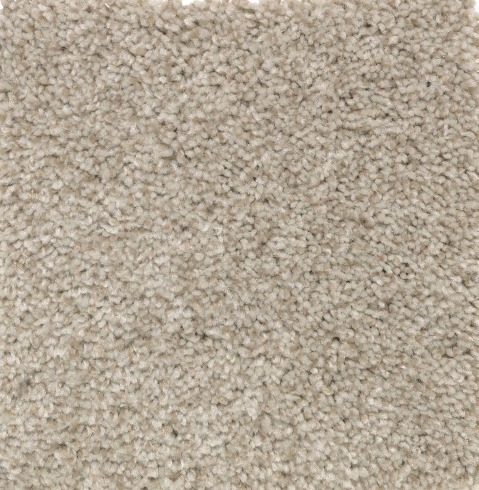 STAINMASTER S771404TAWNY TA-7201 (Sample) Essentials Tonal Look Tawny Tan Textured Carpet