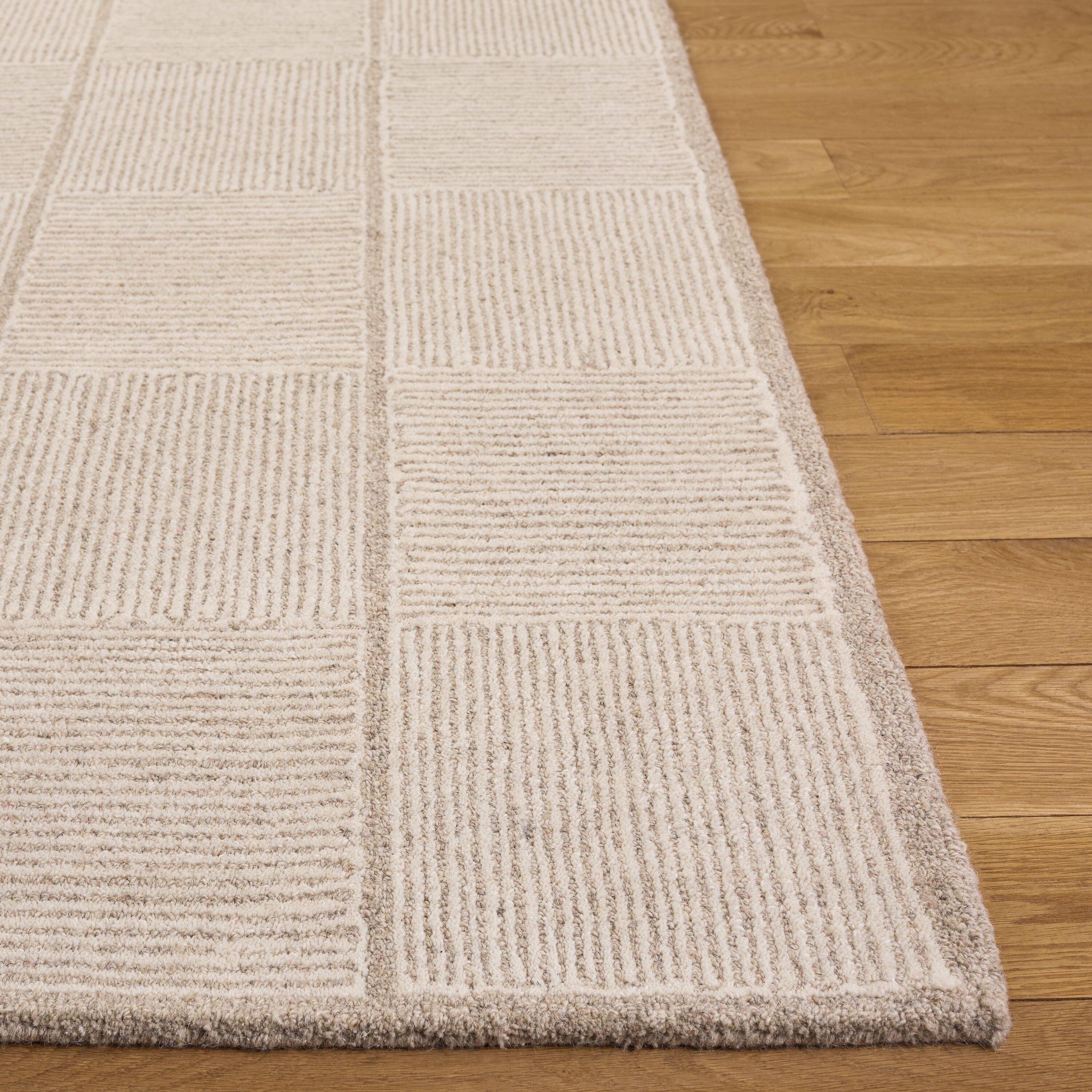Safavieh EBN146B-5 rugs - View #3