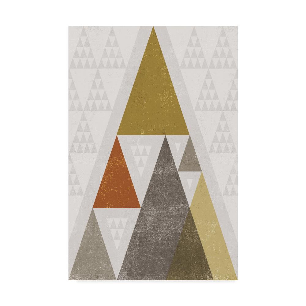 Trademark Fine Art WAP08655-C3047GG Framed 47-in H x 30-in W Abstract Print on Canvas