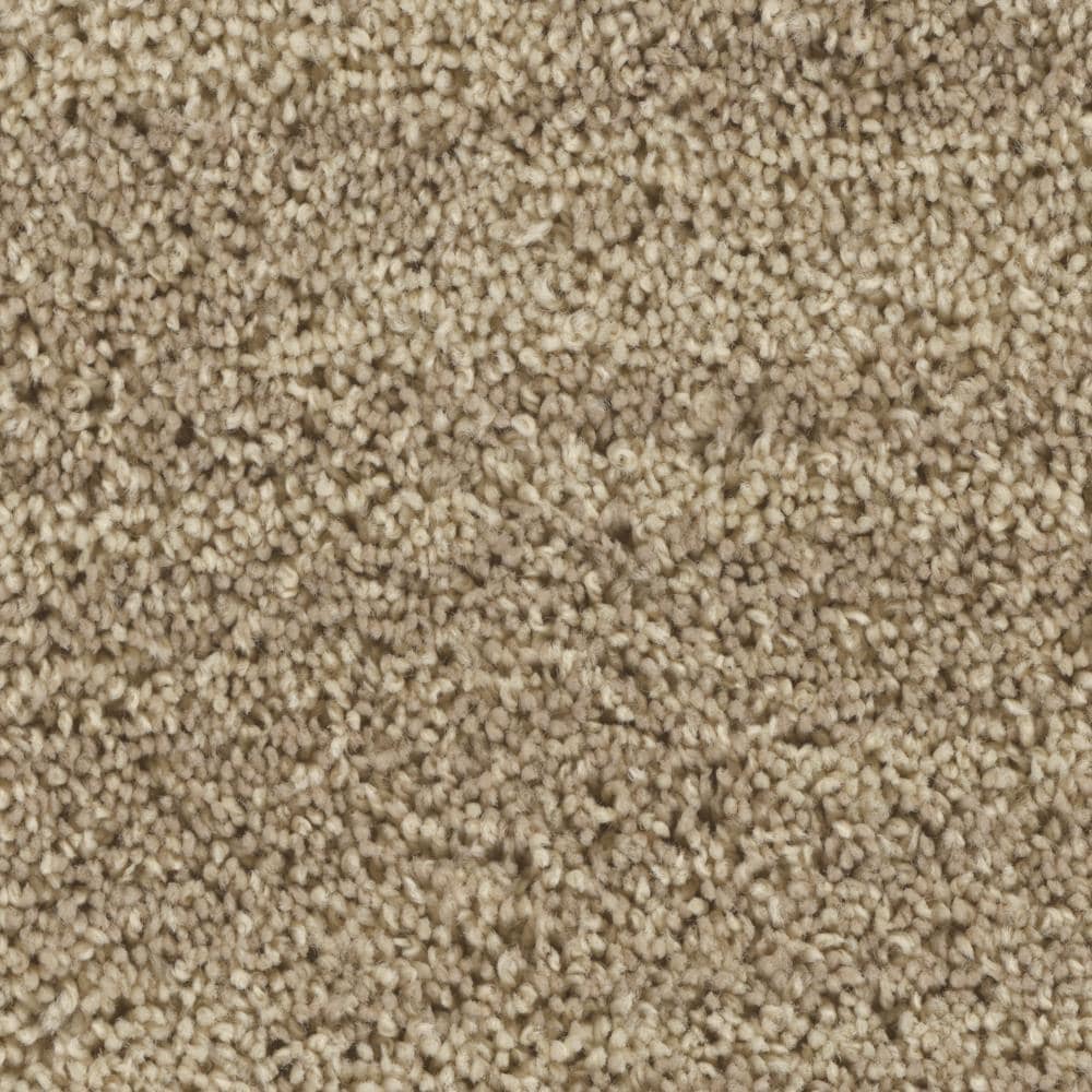 STAINMASTER S7248-109-1200-AB (Sample) LiveWell Easy Going Tame Multi-Colored 48-oz sq yard Nylon Textured Indoor Carpet
