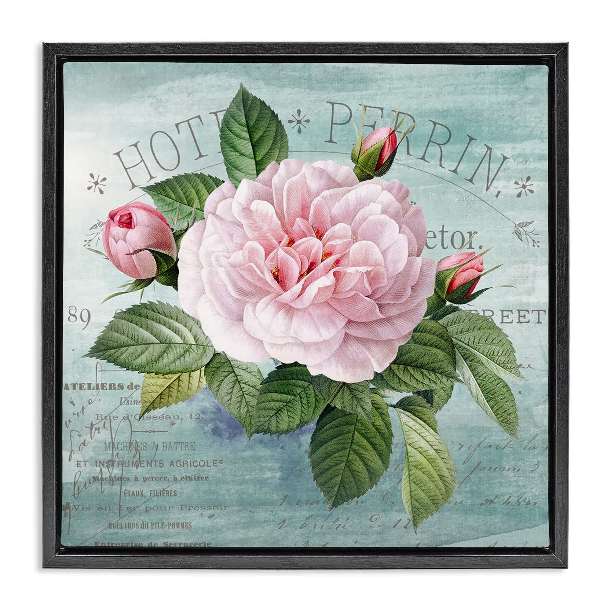 Stupell Industries BT-983-FFB-17X17 Bright and Rustic Tropical Bloom Black Framed Floater Canvas Wall Art By Susan Arnot 18 x 18