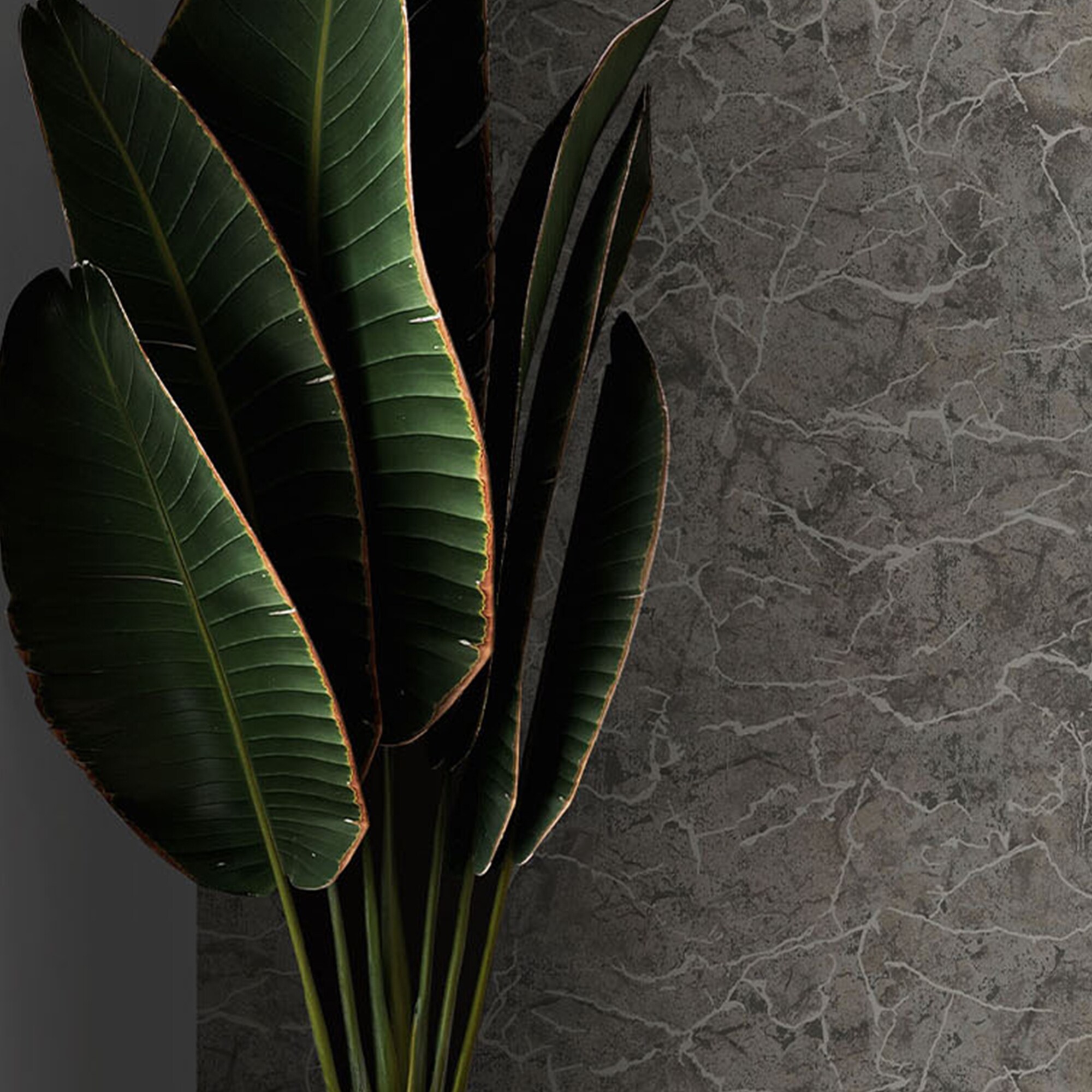 Boutique 122427 wallpaper - View #6