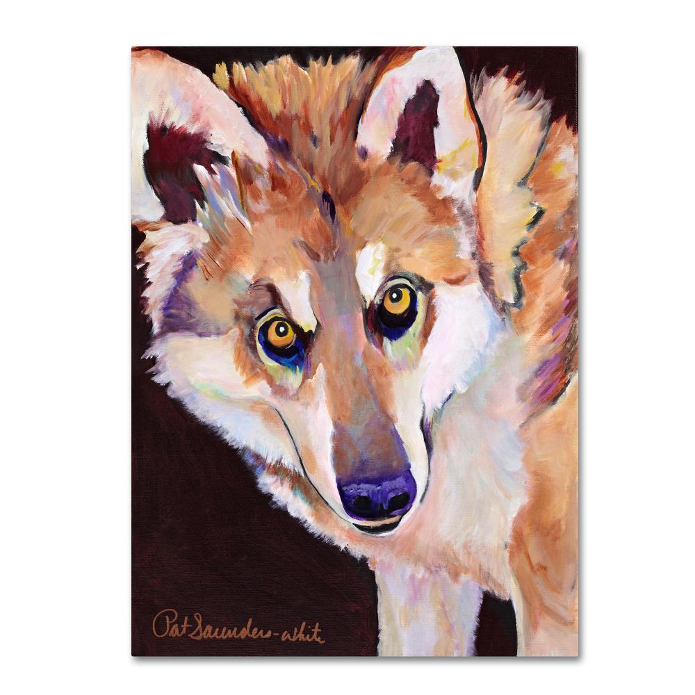 Trademark Fine Art PS113-C1419GG Framed 19-Inches H x 14-Inches W Animals Canvas Print
