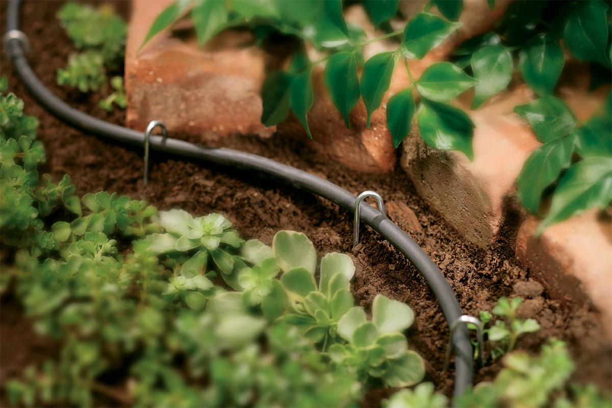 Orbit - Drip Master Water Hose Faucet Adapter to 1/4 Drip Irrigation  Tubing, Dripline - 67432 : : Patio, Lawn & Garden