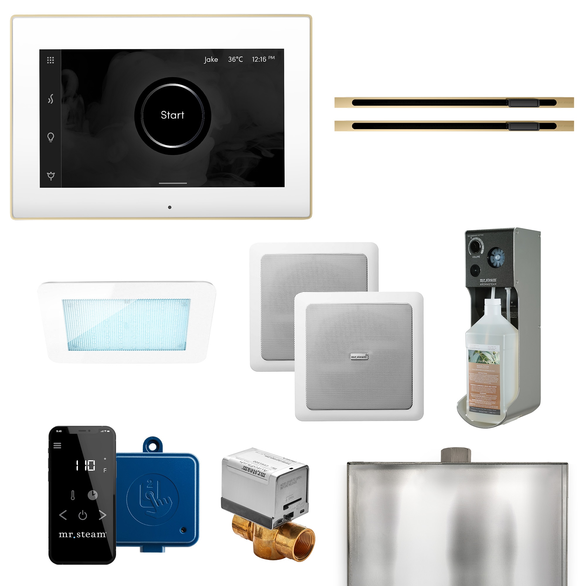 Mr. Steam XDRM1WHXLSB Xdream Max Linear 500-Watts Satin Brass Steam generator control kit
