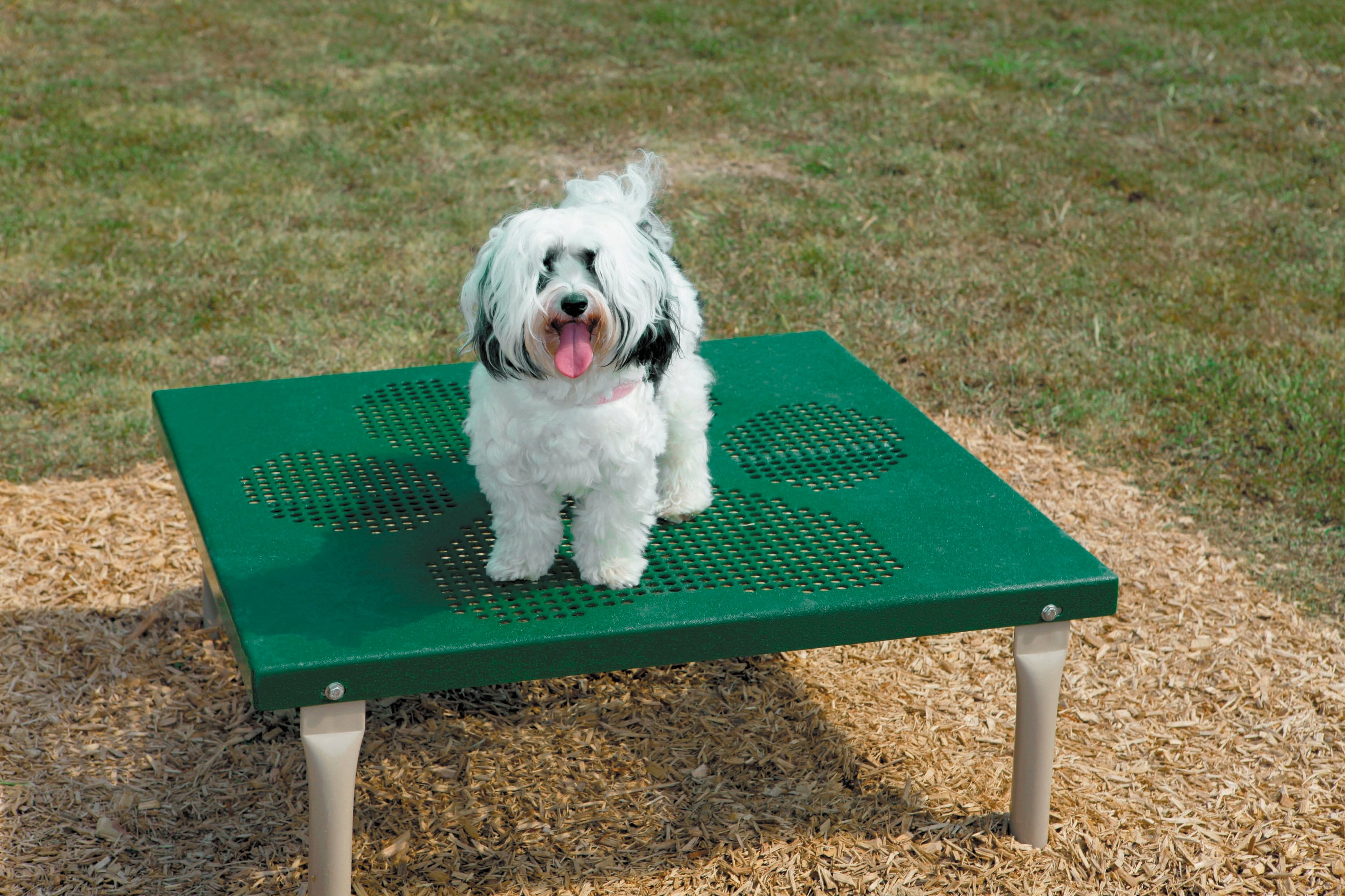 UltraPlay BARK-NVKIT-N Dog-Park-Agility-Course-Kits - View #3