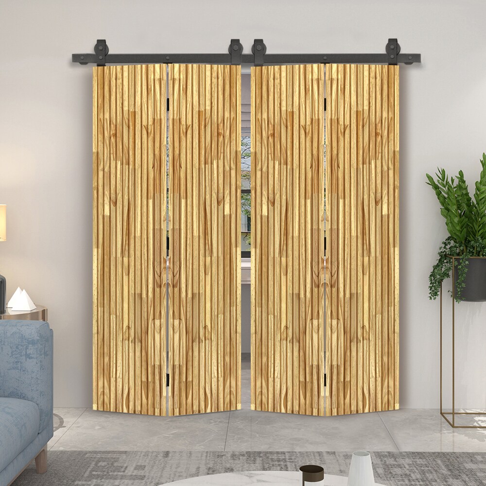 CALHOME 130T+FJAP44-84X24S(2 Barn-Doors - View #4