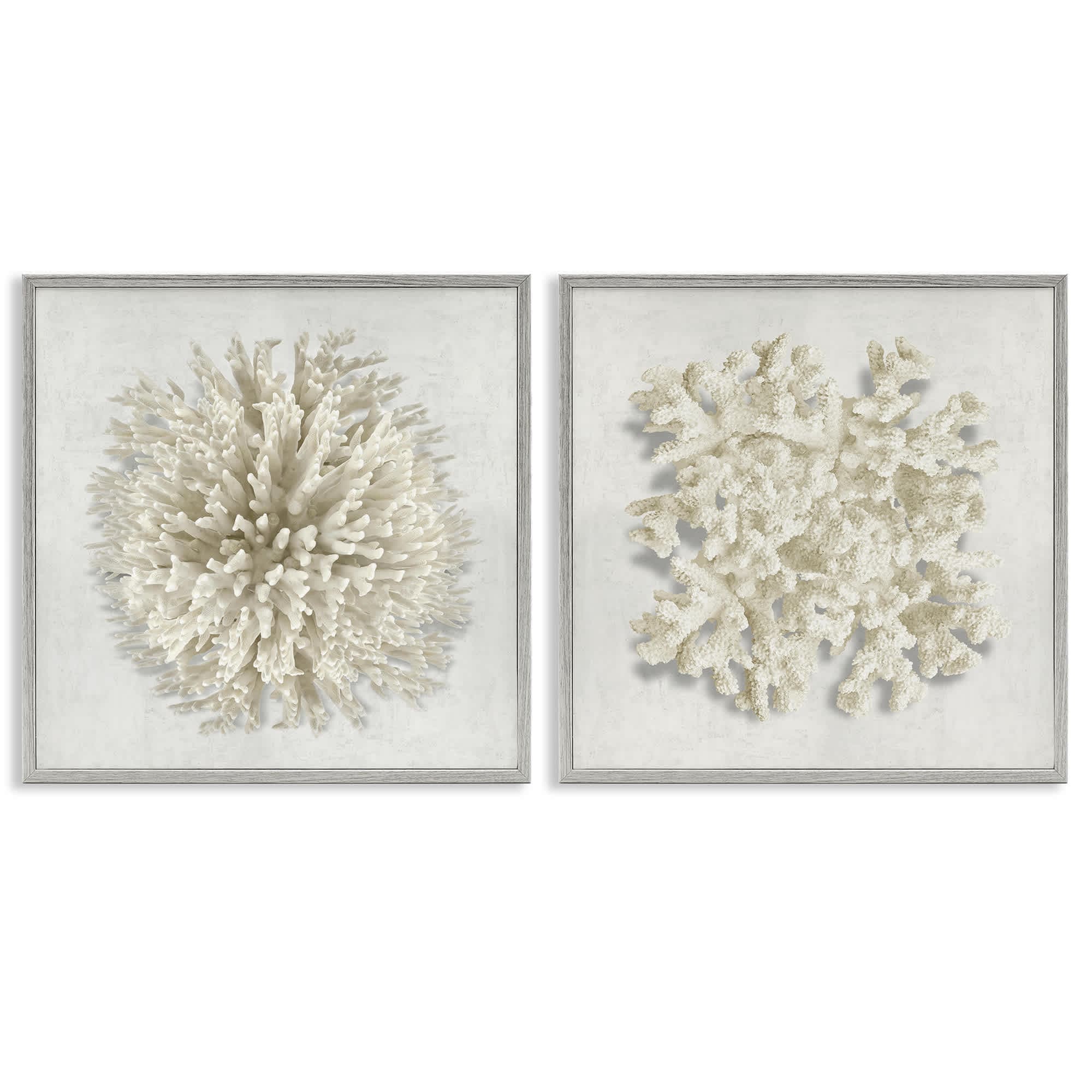 Stupell Industries B2-786-GFF-2PC-17X17 Distinct Natural Coral 2 Piece Gray Framed Giclee Art Set By Caroline Kelly 17 x 17