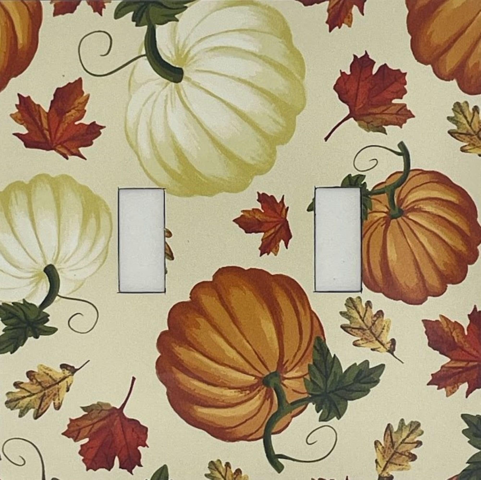 Switch Ups 423638 Insert 2 -Gang Jumbo Size Magnetic Fall Polyresin Indoor Toggle Wall Plate