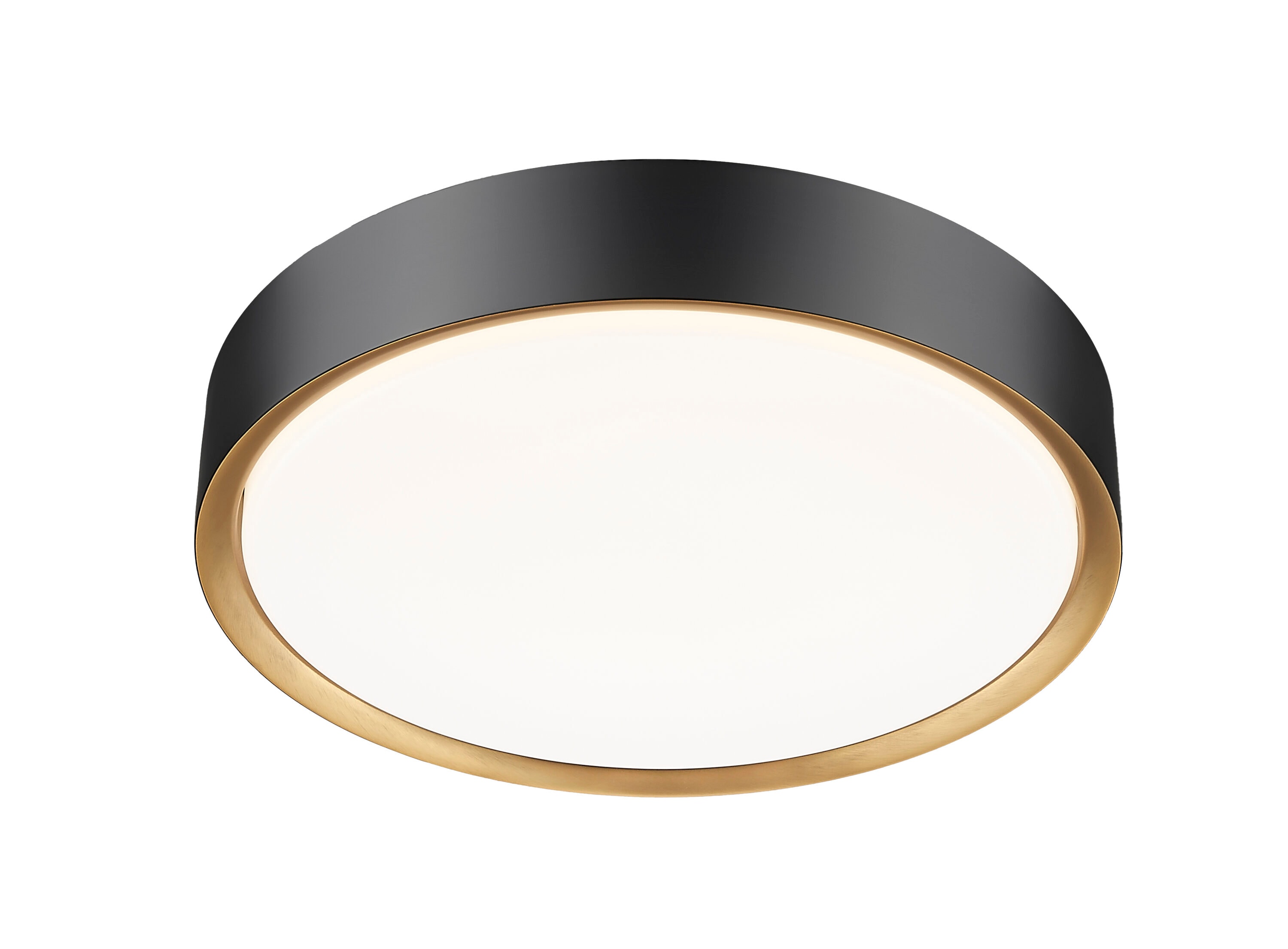 Z-Lite 1014F16-MB-MGLD-LED flushmounts - View #5